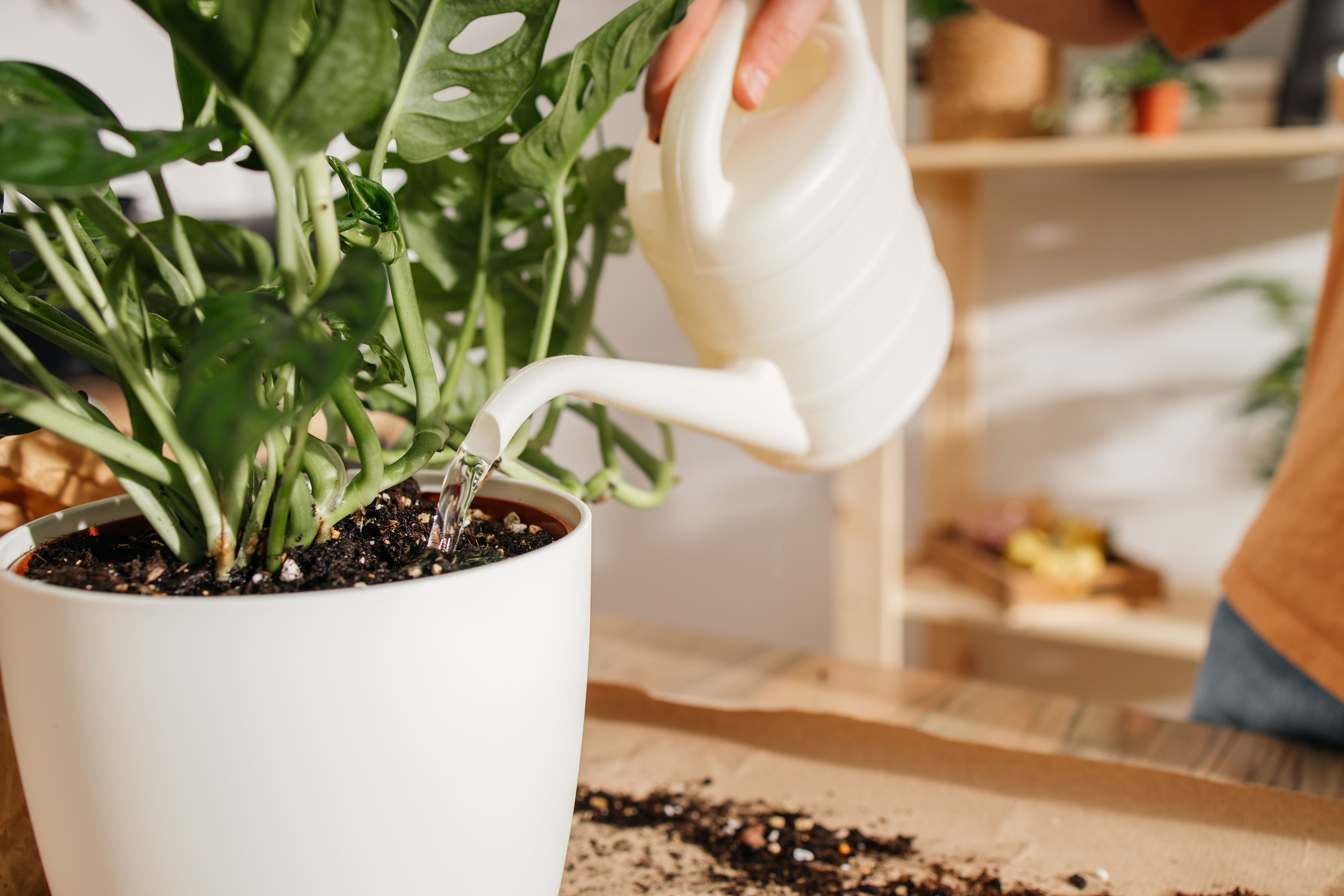 Granulés Gel Rétenteur D’Eau 1kg Pour Plantes - Arrosage Automatique Vacances Intérieur Extérieur - Virhea