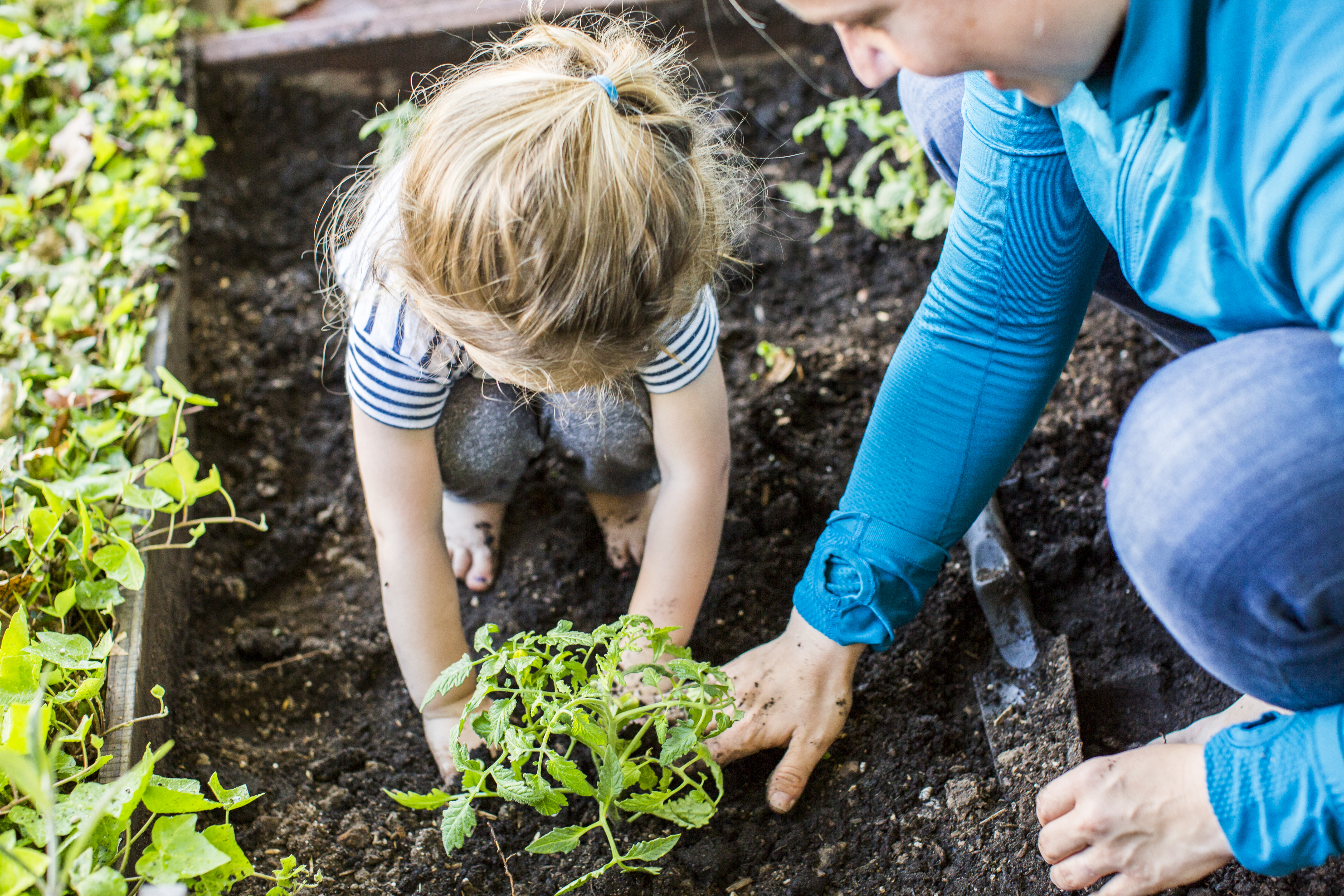 Avant de jardiner avec son enfant, il est indispensable de prendre des précautions pour éviter tout accident. Copyright (c) Adam Hester/Istock.