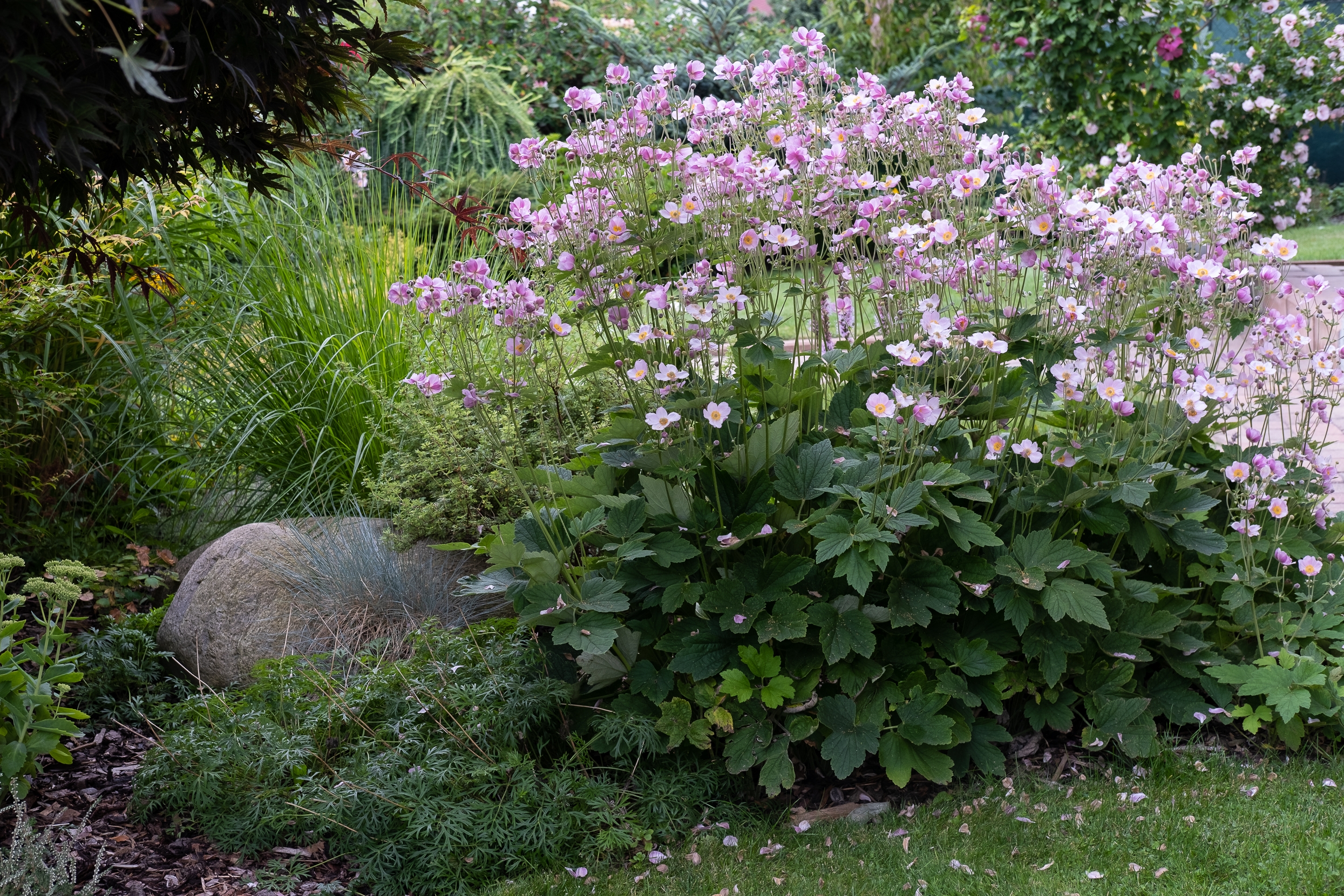 easiest plants to keep alive How to Keep Your Plants Alive: 50 Plants That Are Impossible to Kill main image 1