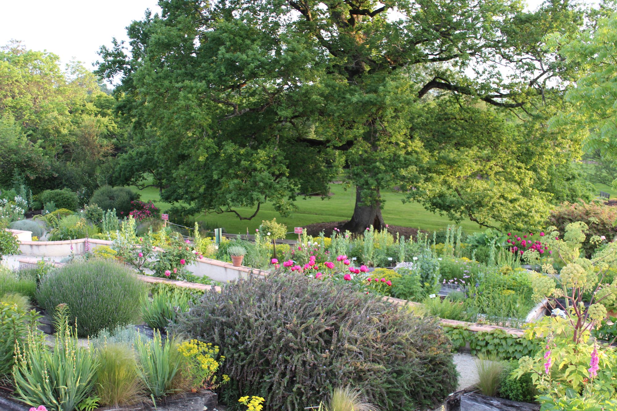 Les Jardins de Coursiana s’étendent sur six hectares et offrent un décor exceptionnel pour des balades en famille. Copyright (c) Jardins de Coursiana.