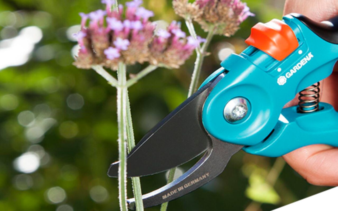 Ce sécateur réglable, accessoire indispensable à tout jardinier, est à petit prix // Amazon