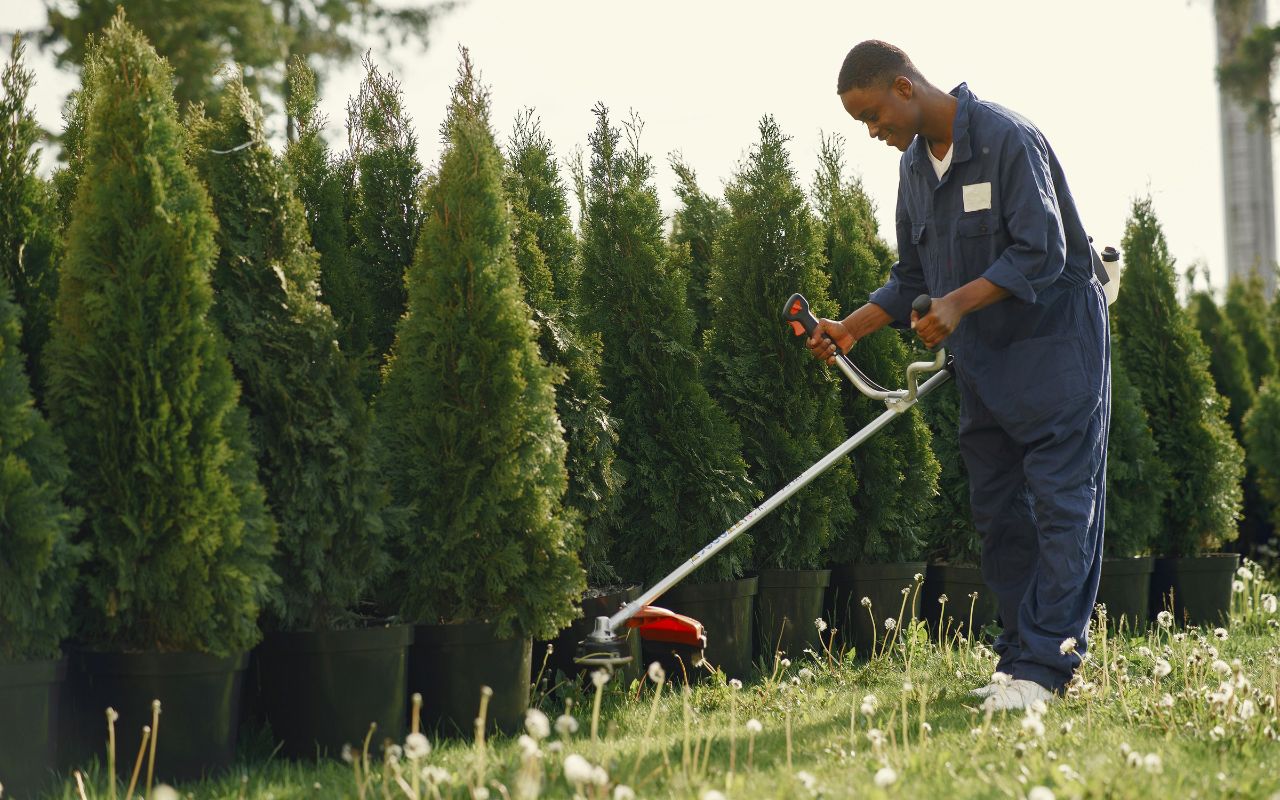 Les meilleures marques d’outils de jardinage pour un extérieur au top // Pexels