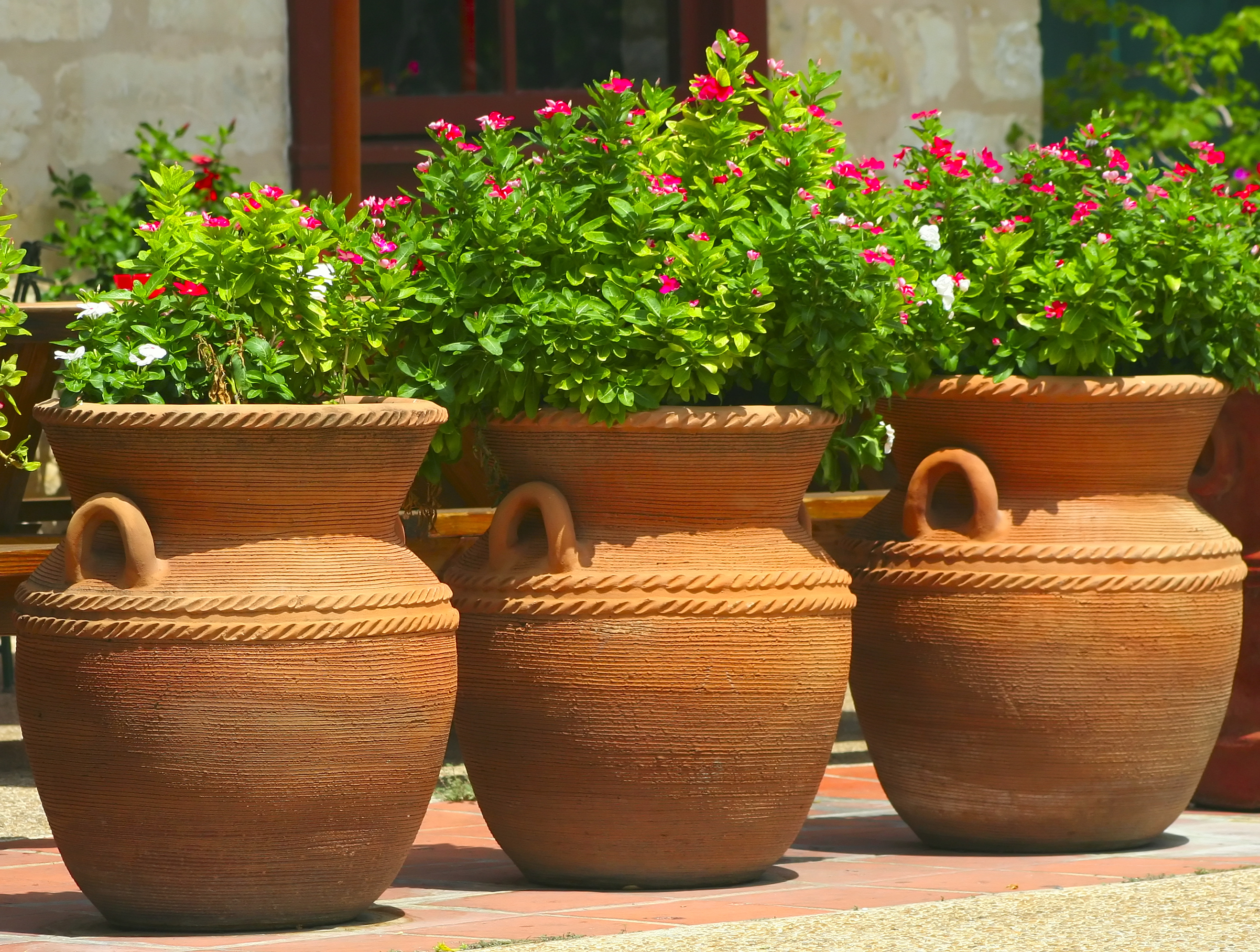 Les jarres en terre cuite constituent les pièces maîtresses de votre décoration extérieure. Copyright (c) 2006 Debbie Vinci/Shutterstock.
