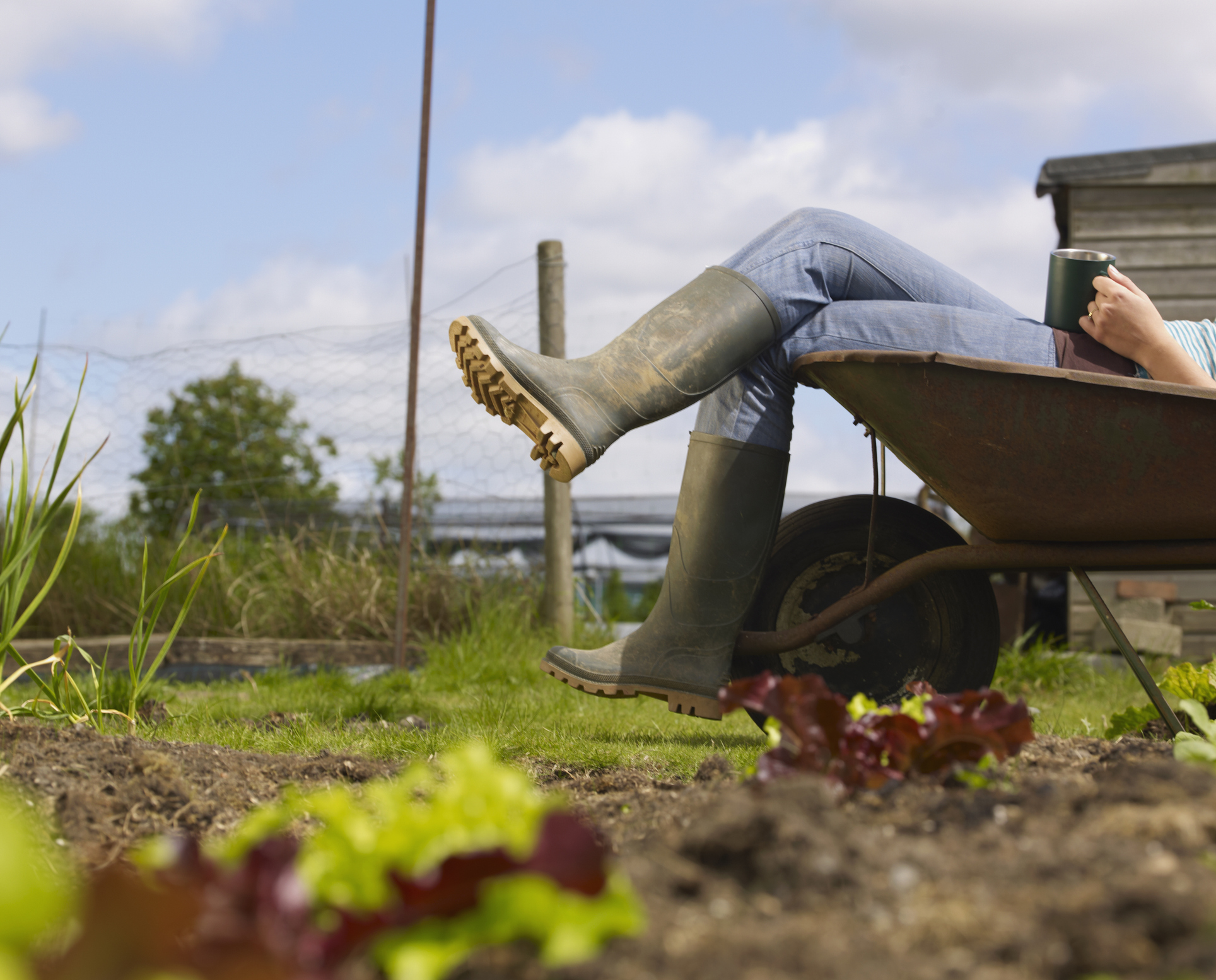 Découvrez huit astuces de jardinier à connaître absolument pour simplifier votre quotidien au jardin ! Copyright (c) Mike Harrington/Istock.