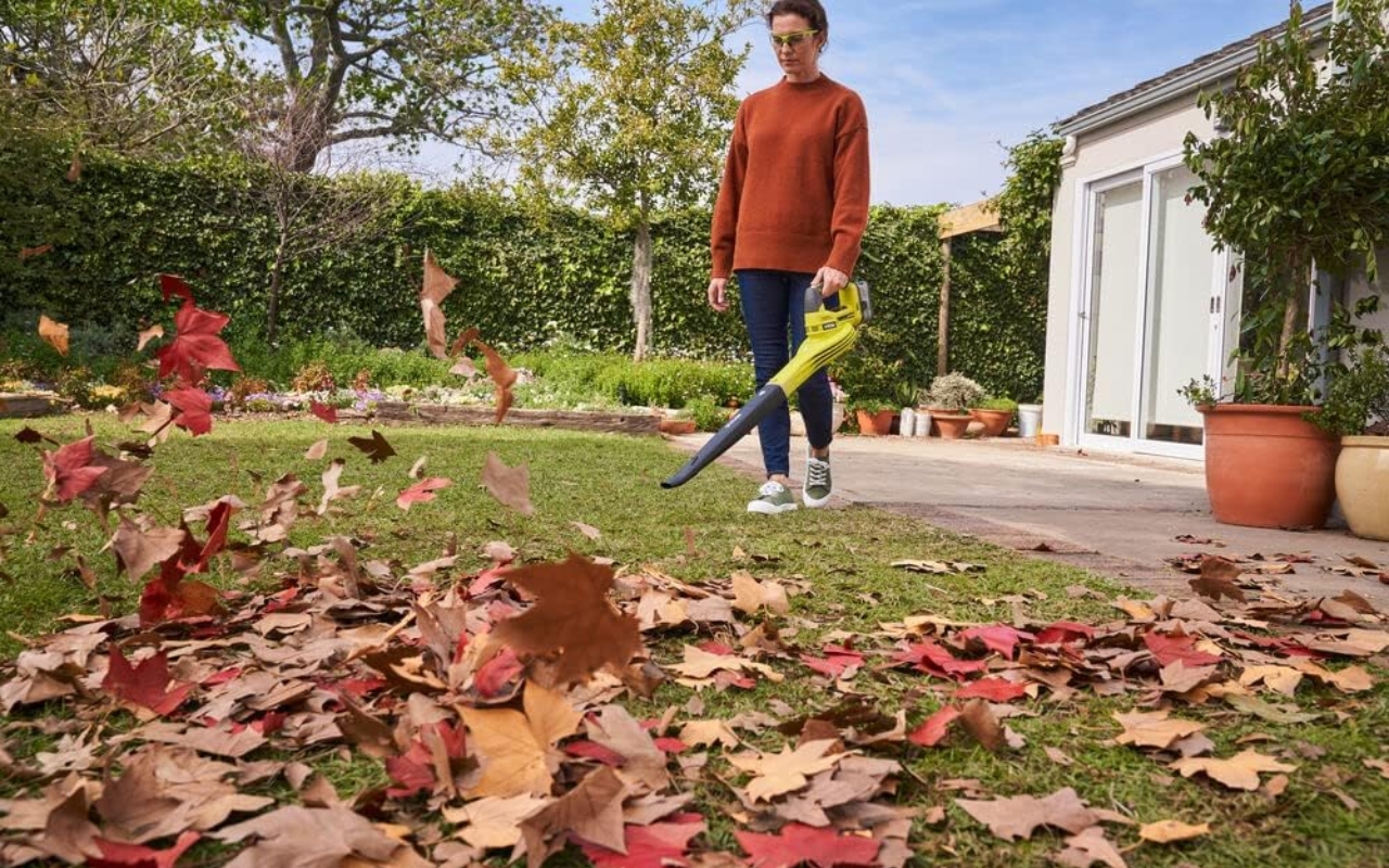 Numéro 1 des ventes, ce souffleur de feuilles à 49,90 euros est le bon plan star du moment // Amazon