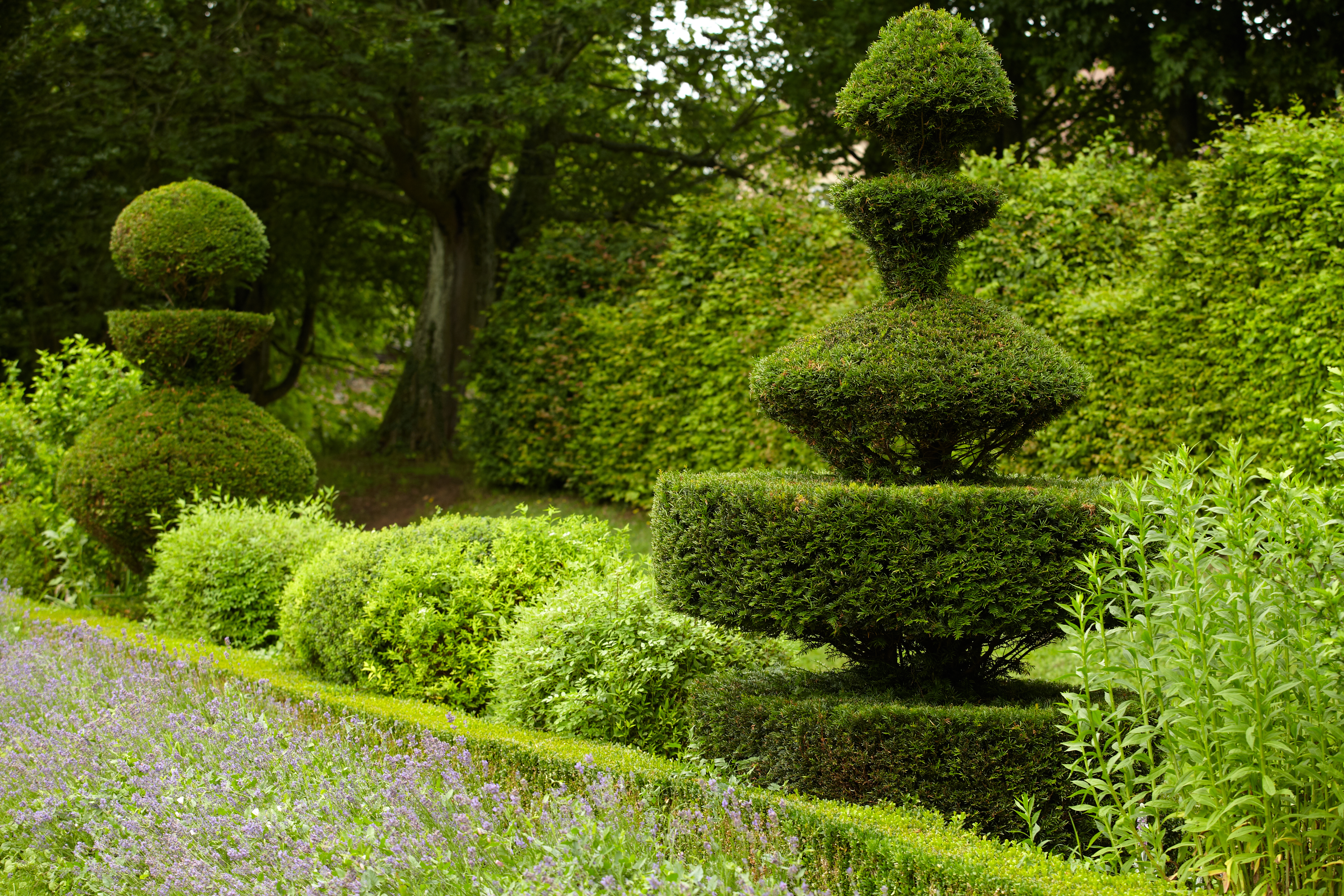 Se lancer dans la conception d’un jardin à la française est un projet aussi ambitieux que satisfaisant. Copyright (c) 2012 allstars/Shutterstock.