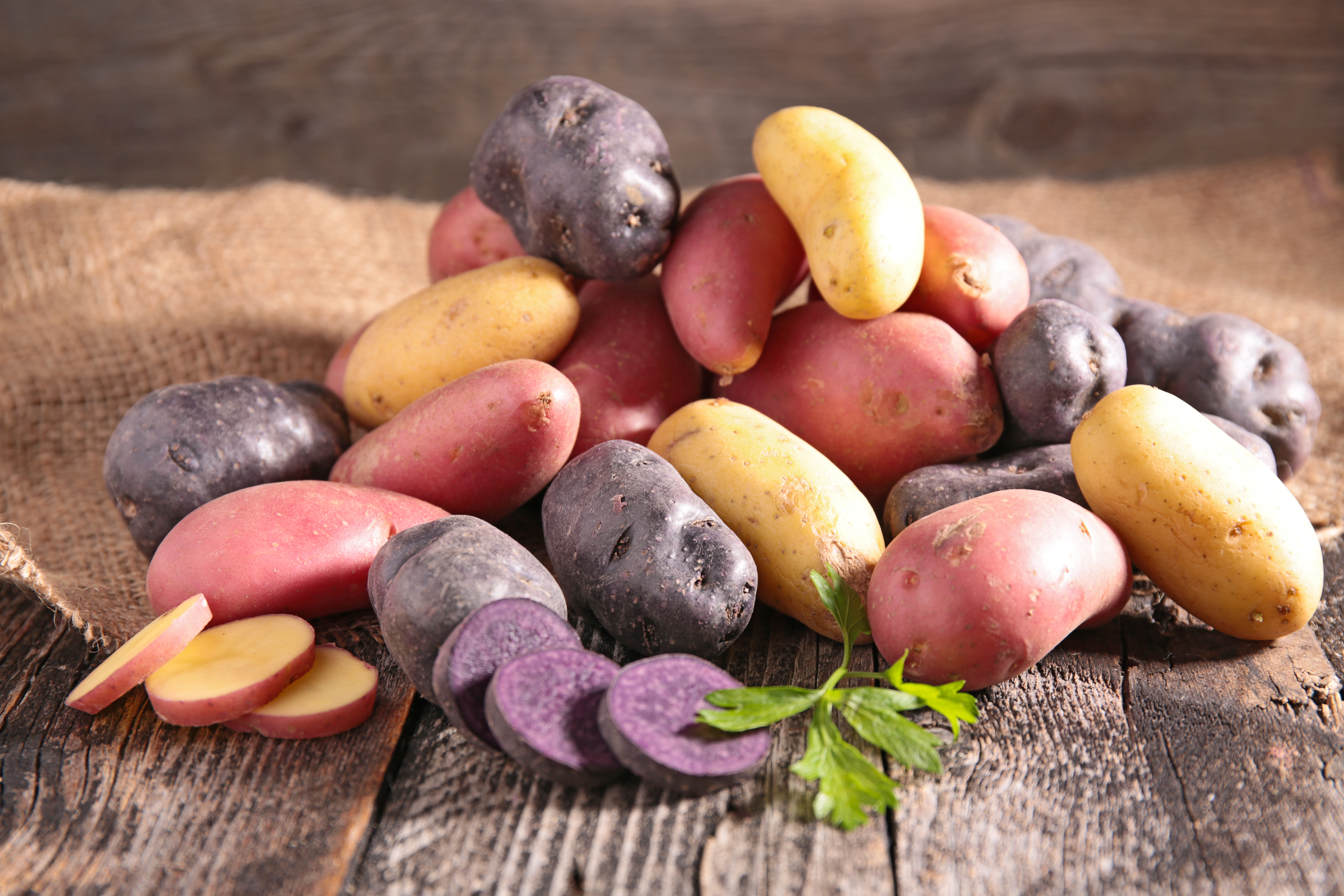 Pomme de terre : variétés, sautées ou à la vapeur
