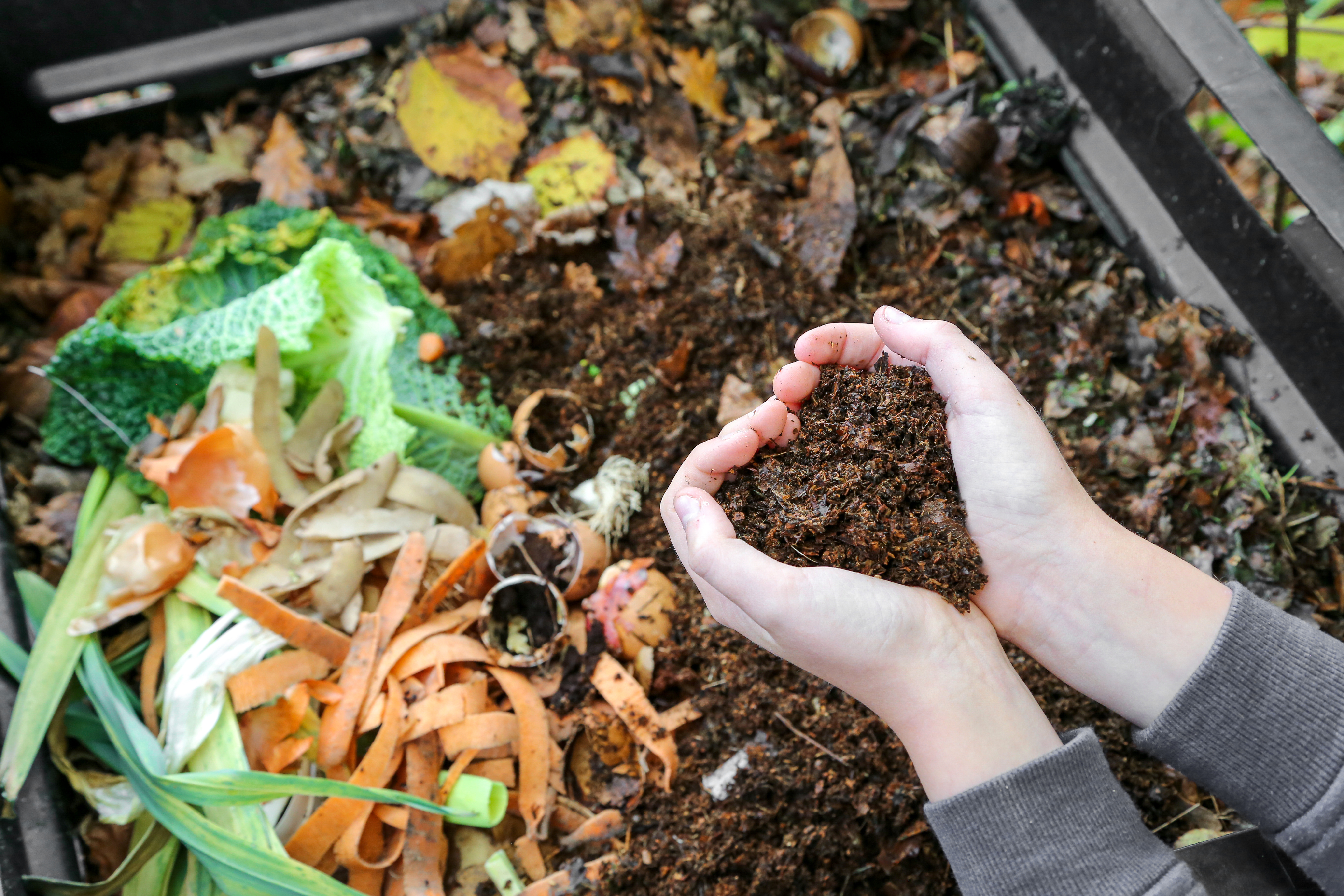 Compost : optimisez les déchets organiques pour enrichir votre terre - Le  Parisien