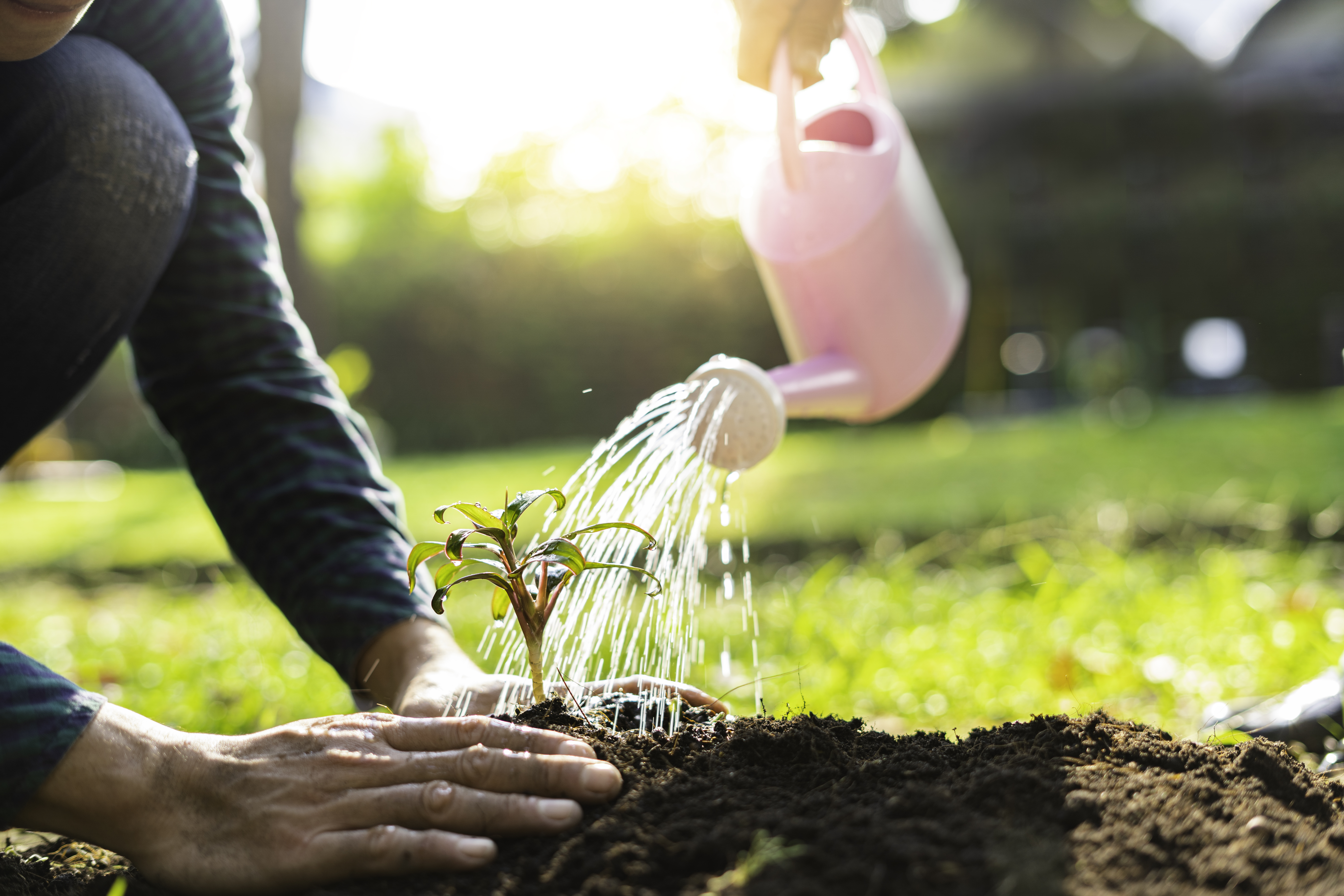 Granulés Rétenteur Eau Virhea 200g - Gel Arrosage Automatique Plantes, Vacances