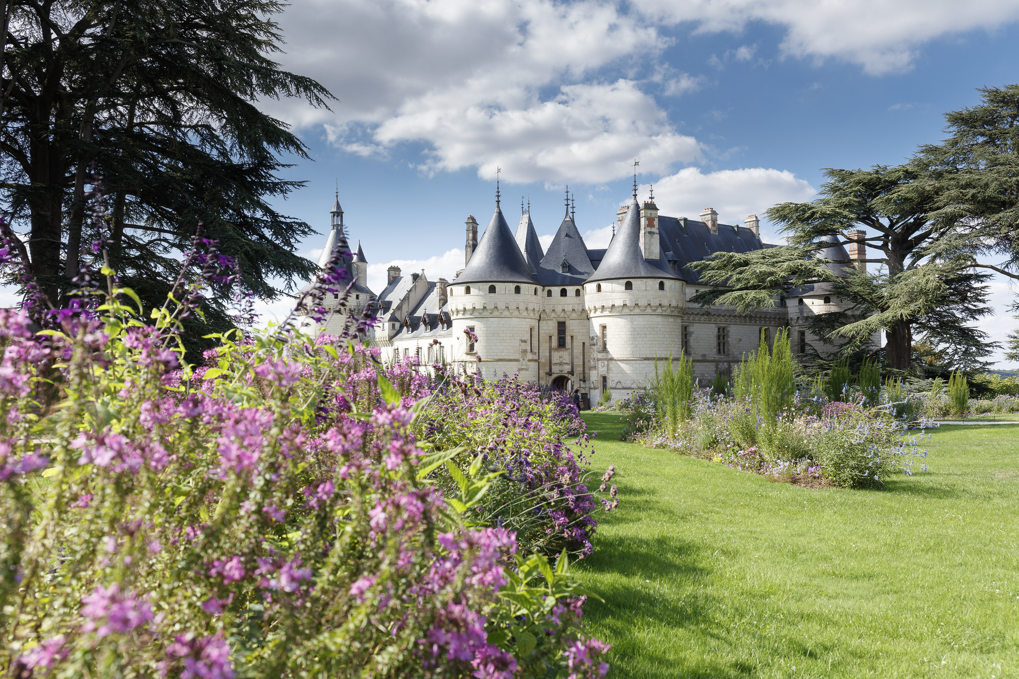 Ce sublime château de la Loire abrite l'un des plus beaux jardins de France - Le Parisien Jardin