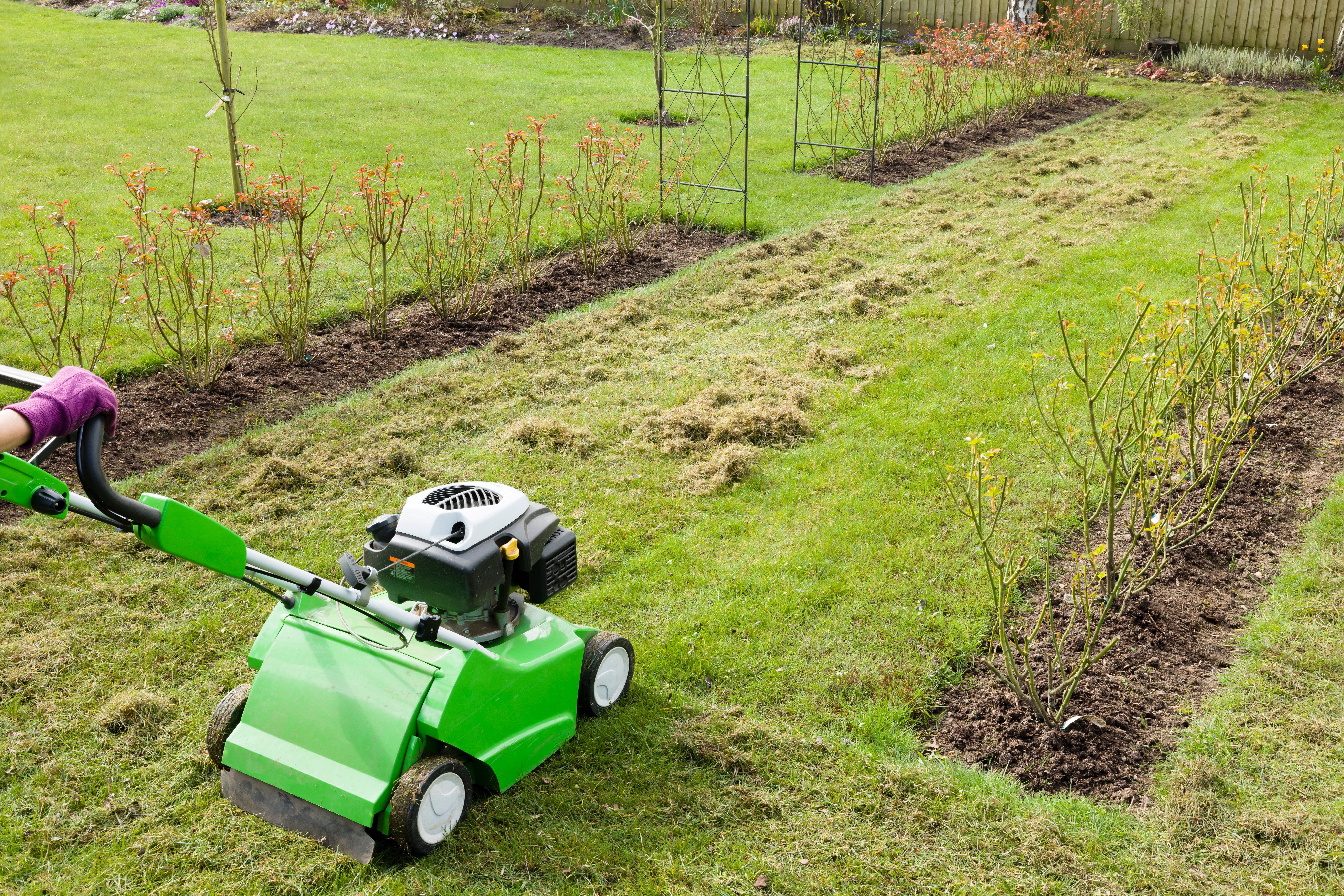 Conseil jardinage du mois : comment semer votre pelouse
