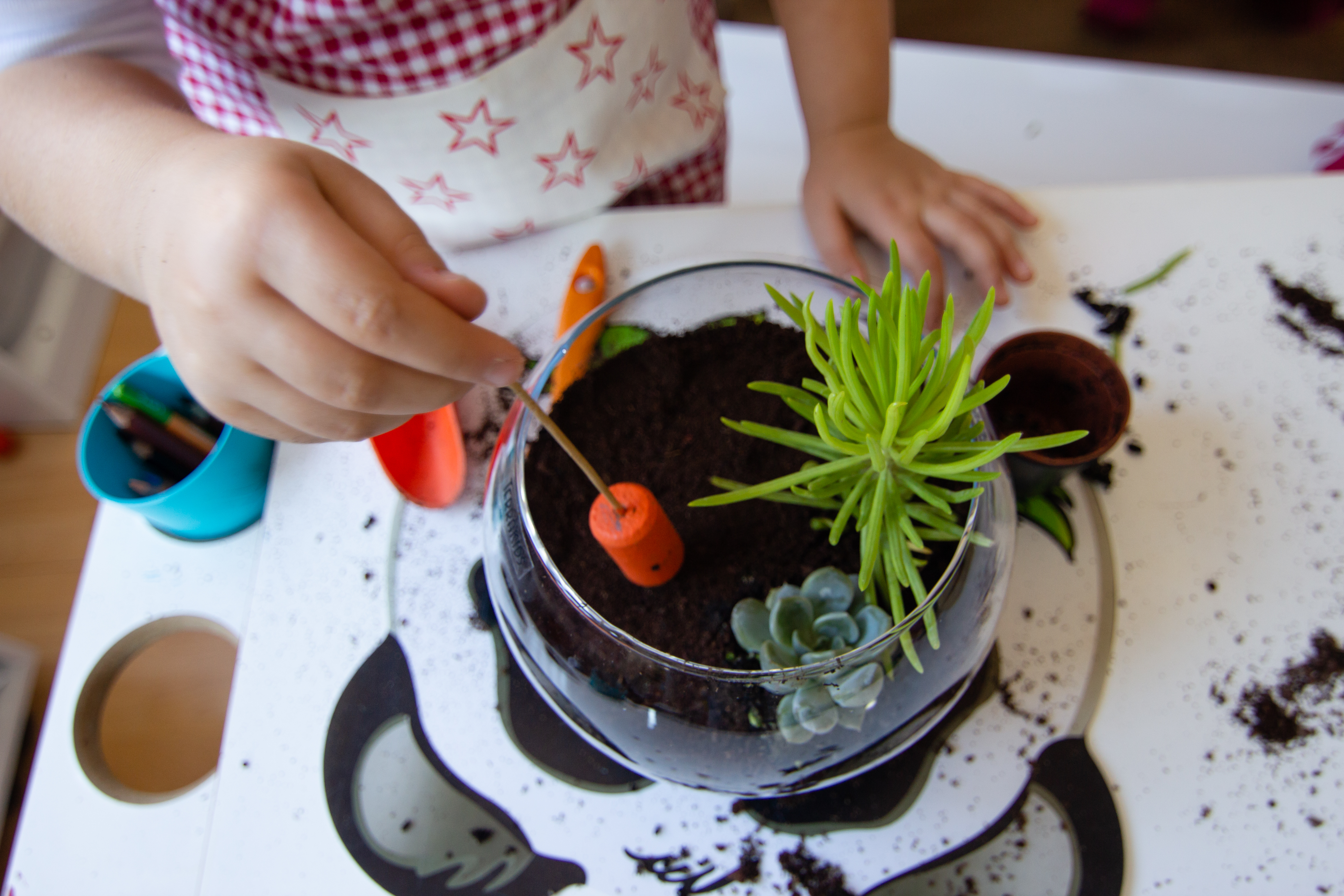 Les terrariums sont non seulement des objets décoratifs magnifiques, mais ils offrent également une excellente occasion d’enseigner aux enfants les bases de l’écosystème et de l’entretien des plantes. Copyright (c) Hasret Sonmez/Istock.