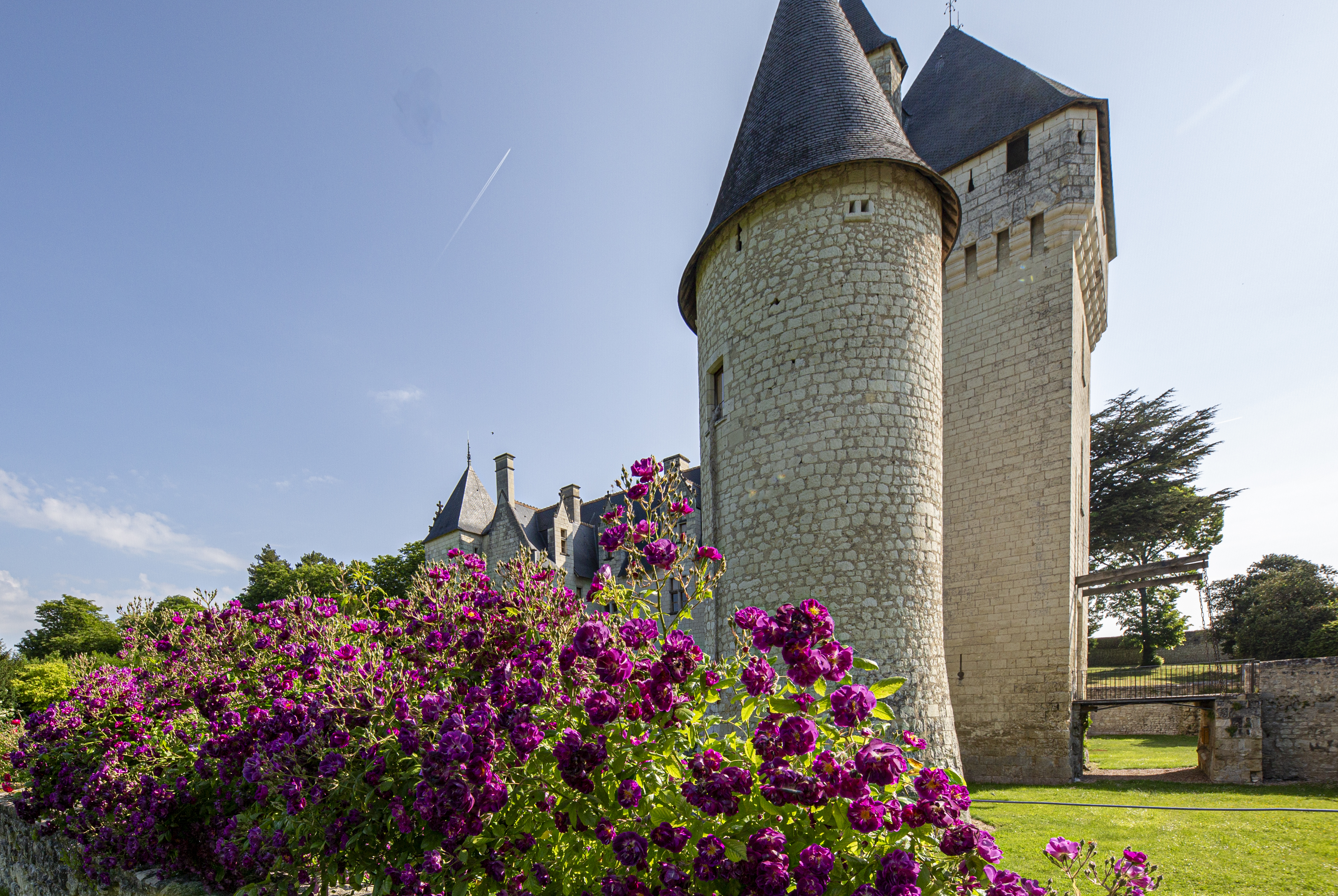 Avec ses 15 espaces distincts, le Château de Rivau assure aux visiteurs de pouvoir admirer des fleurs quelle que soit la période de l’année. Copyright (c) Patricia Laigneau / Château du Rivau.