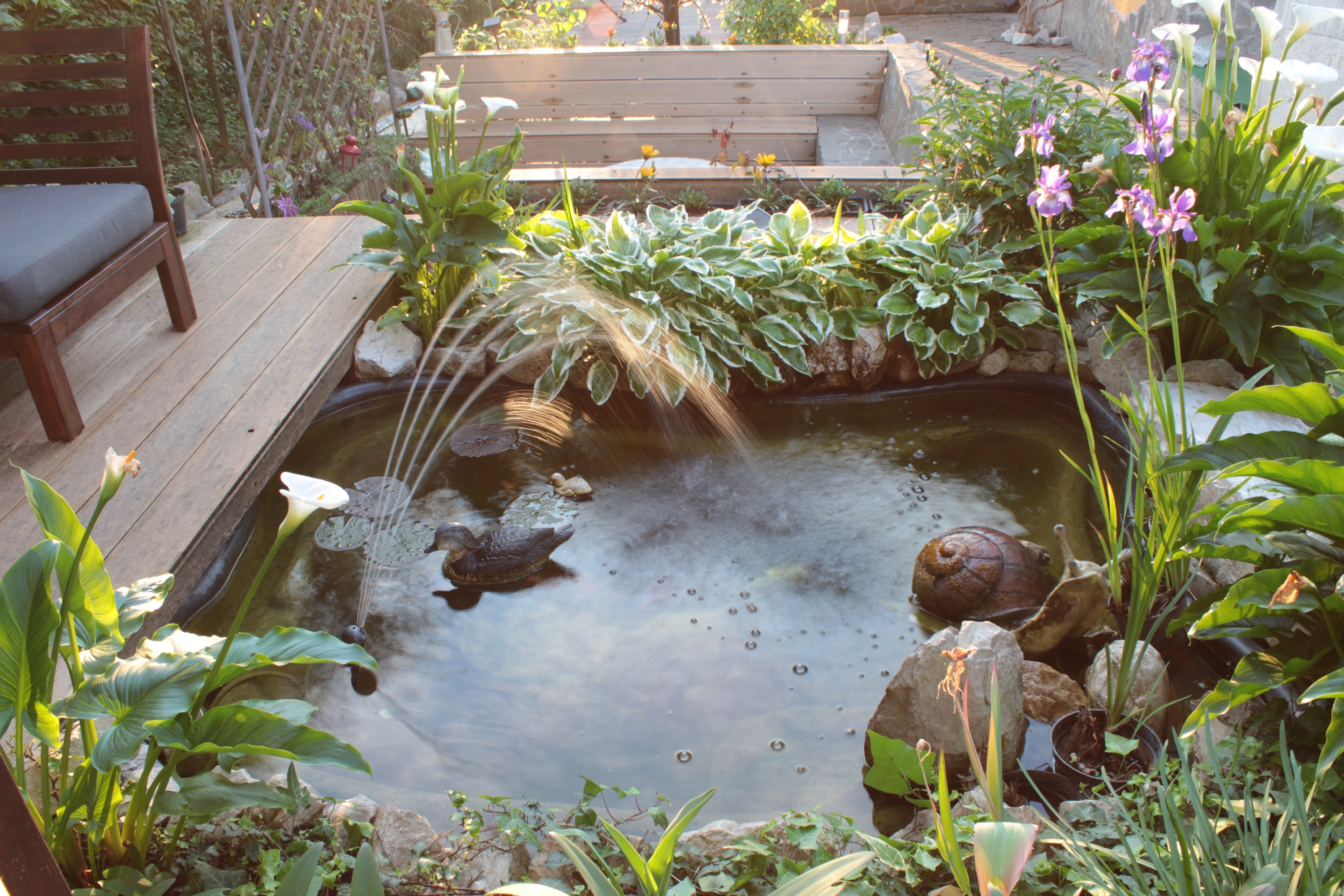 Comment choisir un bassin de jardin