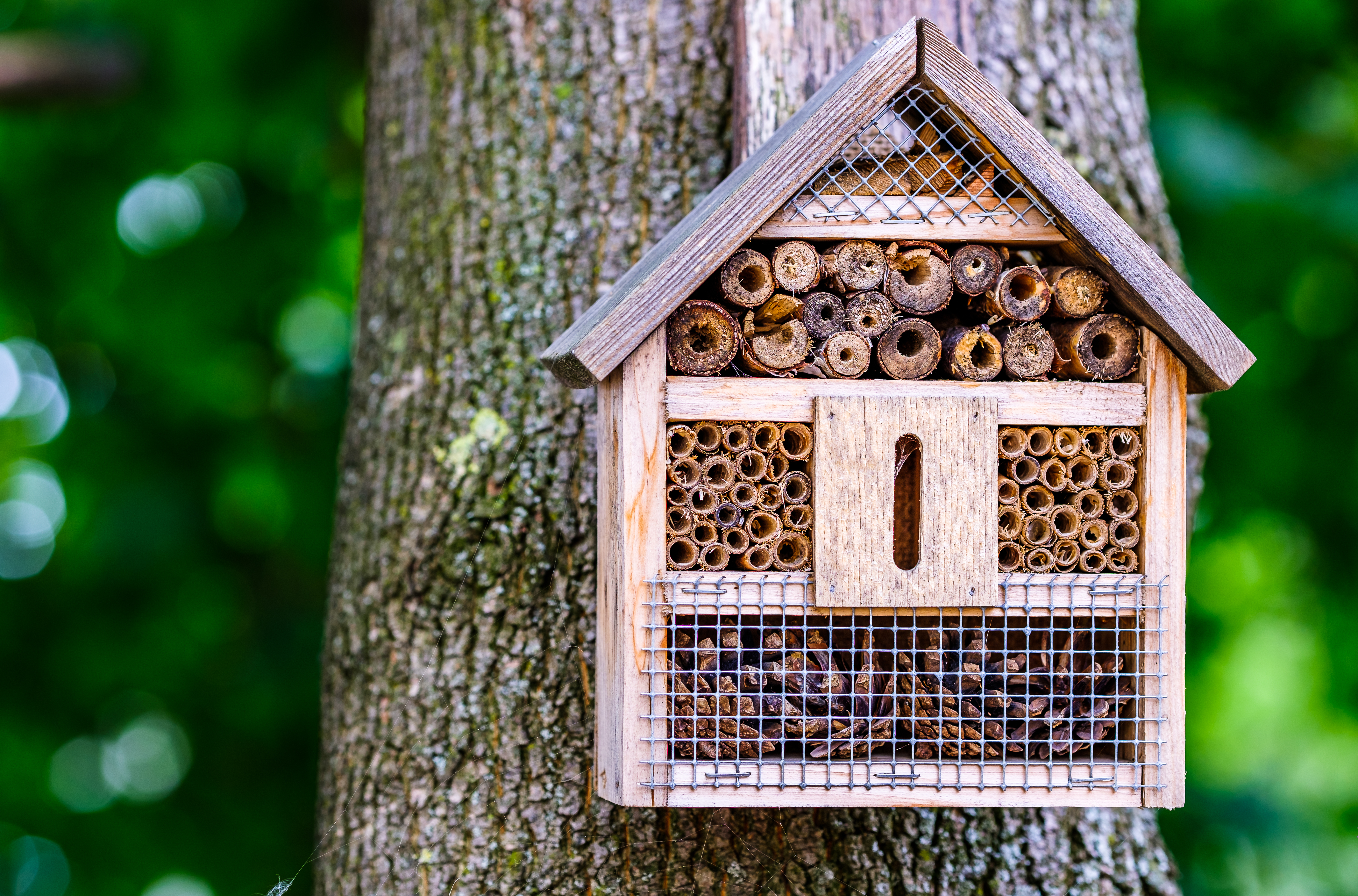 Hôtel à Insecte en bois pour chrysopes, papillons, abeilles et