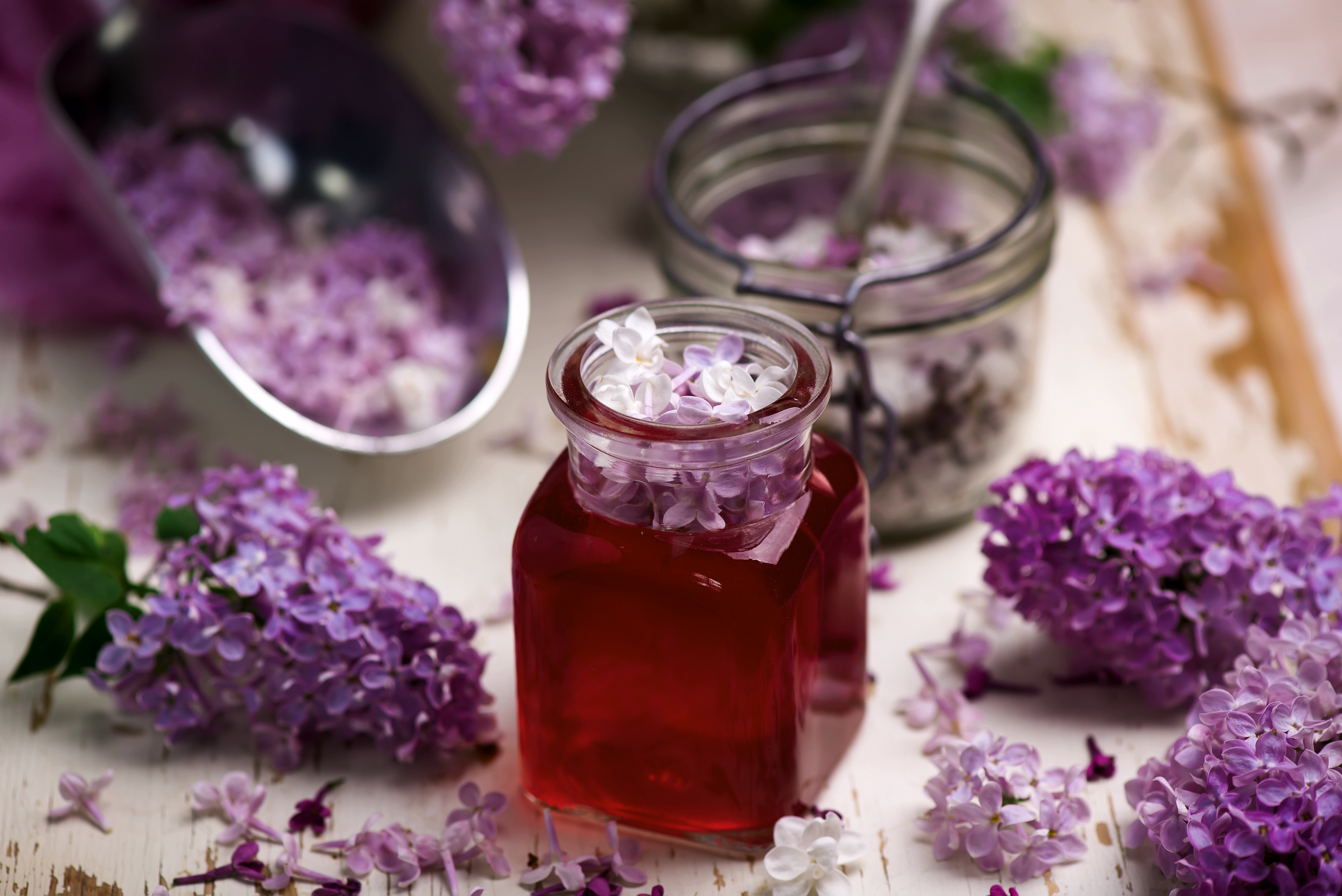 C’est la saison du lilas, profitez-en pour faire un délicieux sirop de lilas en suivant notre recette facile et rapide. Copyright (c) Zoryana Ivchenko/Istock.