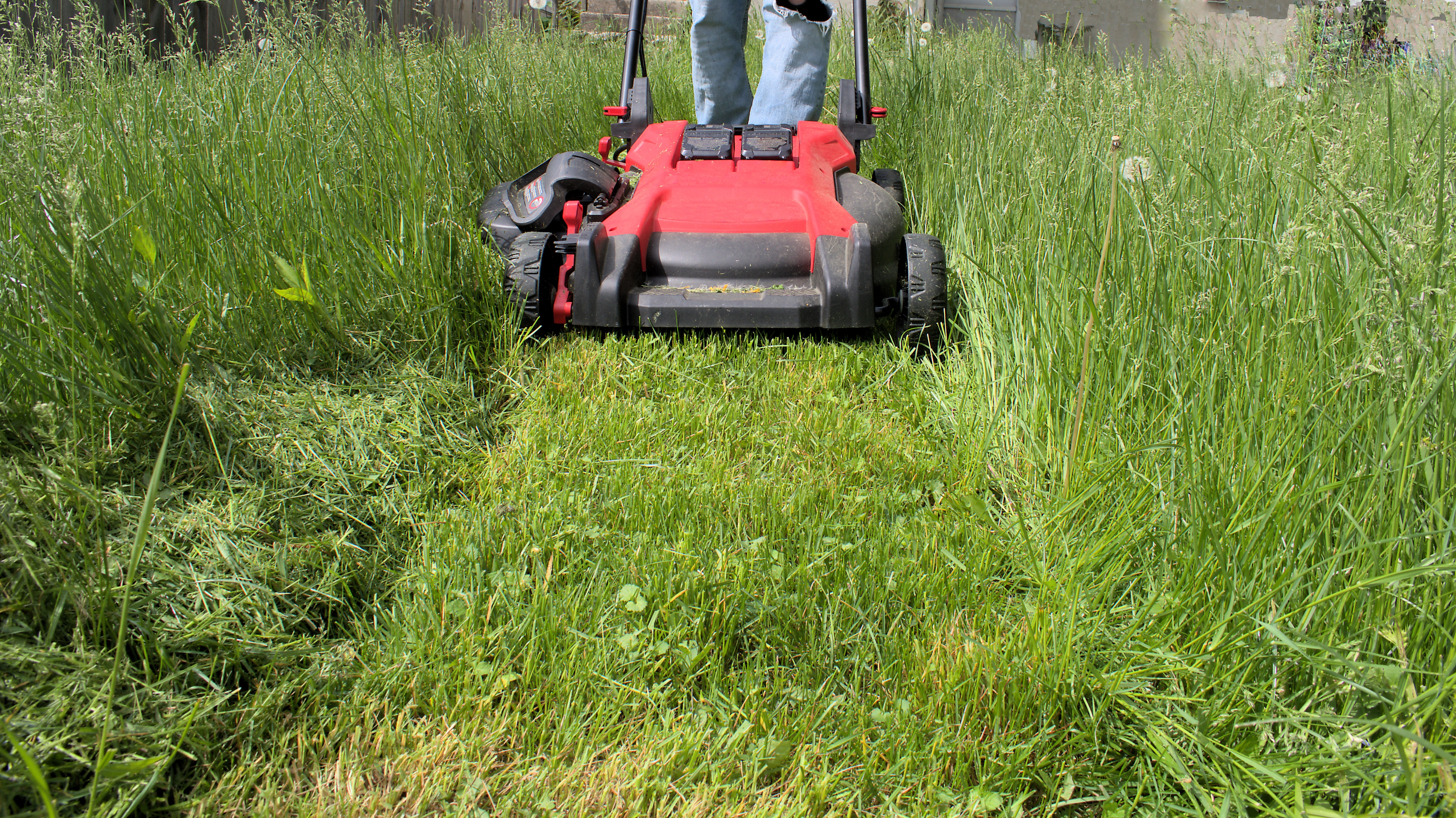 Tondre et débroussailler font partie des tâches courantes dans l’entretien d’un jardin. Copyright (c) 2023 Ray Geiger/Shutterstock.