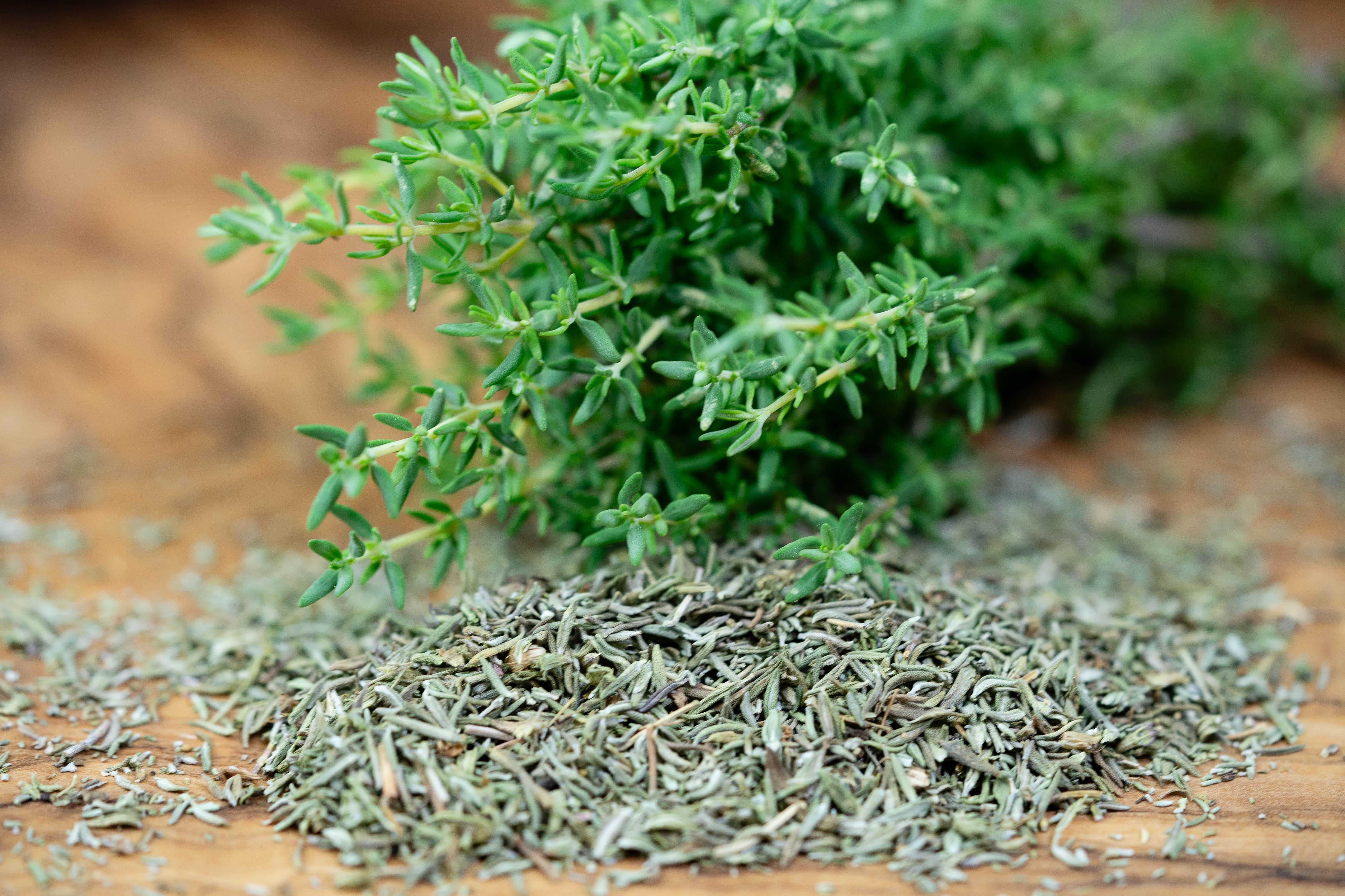 Le top 12 des plantes aromatiques vivaces faciles  cultiver qui vont ravir  vos papilles ! - Le Parisien Jardin