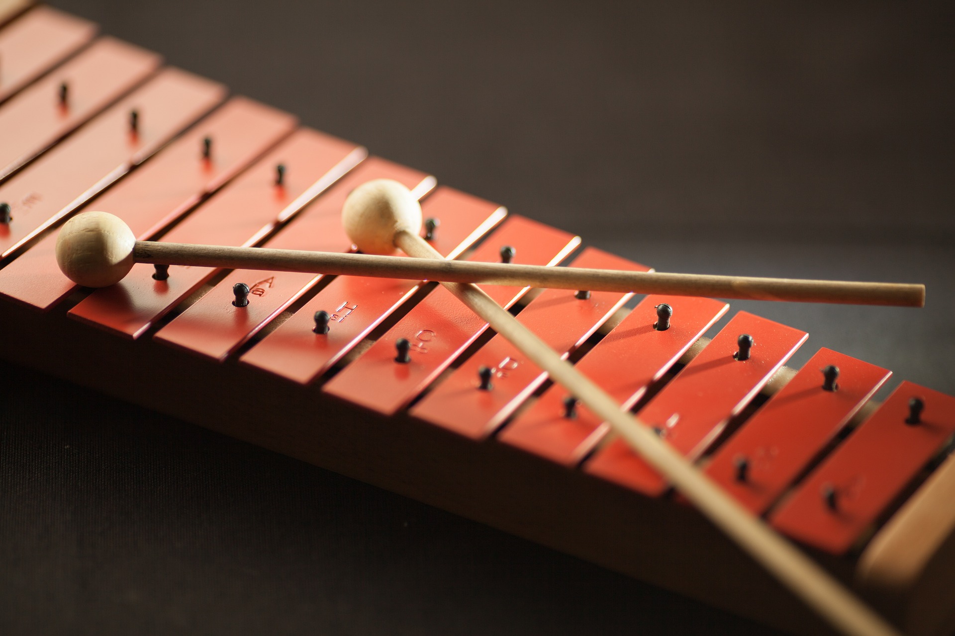 Tambourin, Instrument de Percussion Idéal Couleur Bois Tambours  Synthétiques Tête Tambour à Main pour la Performance pour l'apprentissage  des
