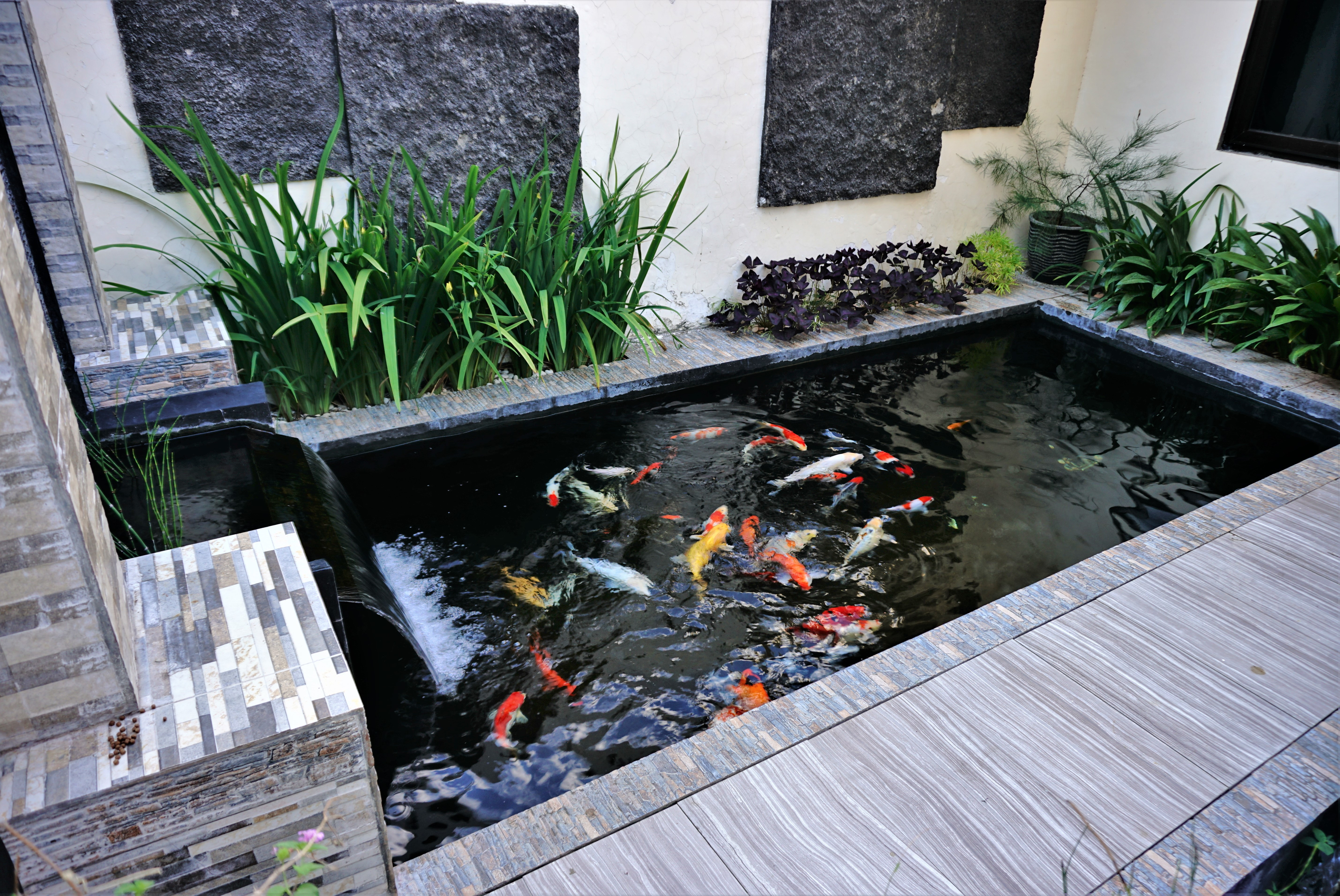 Installer un bassin à poissons dans son jardin : Une bonne idée qui mérite d’être accompagnée.