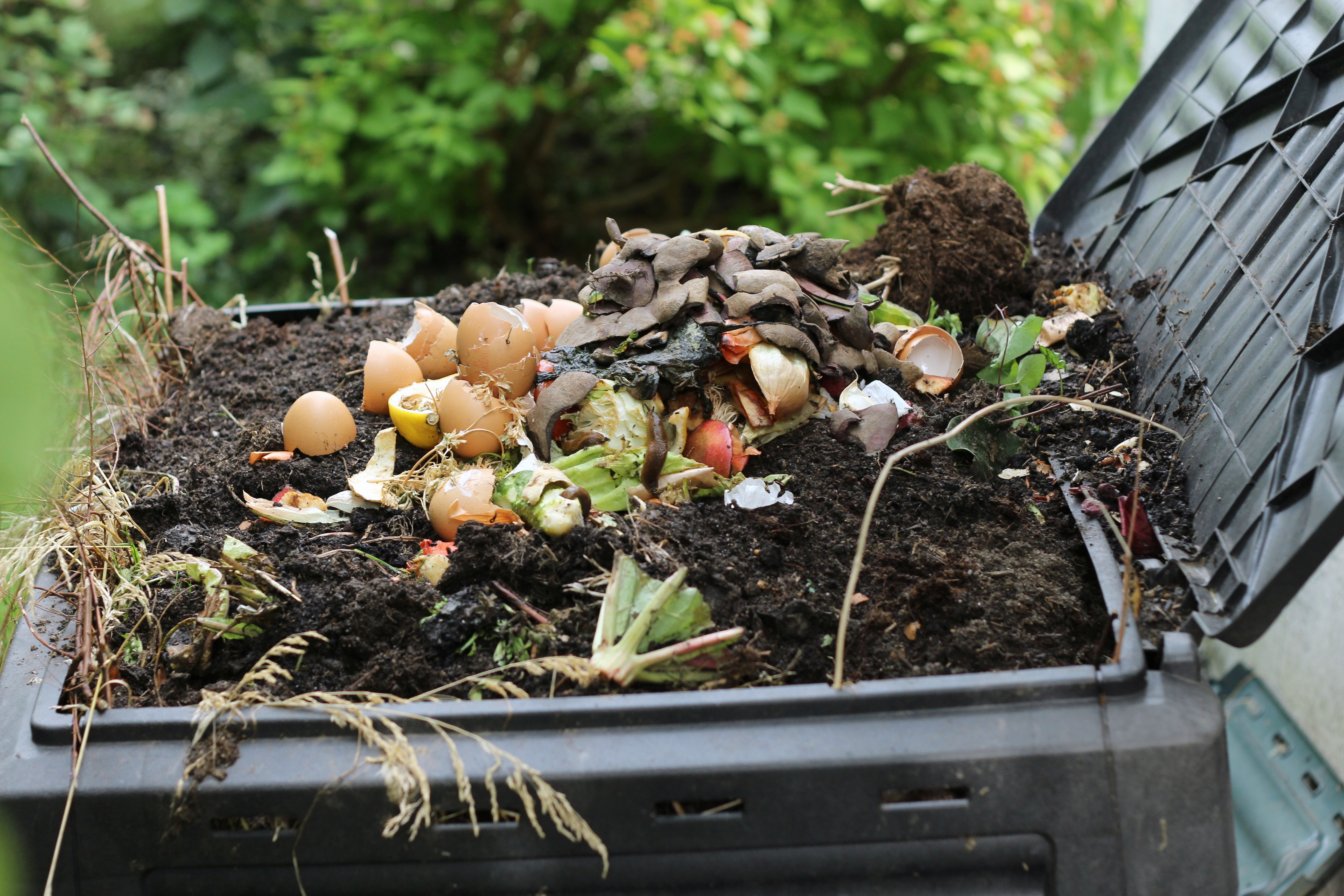 Activateur de compost : boostez le processus de décomposition ! - Le  Parisien