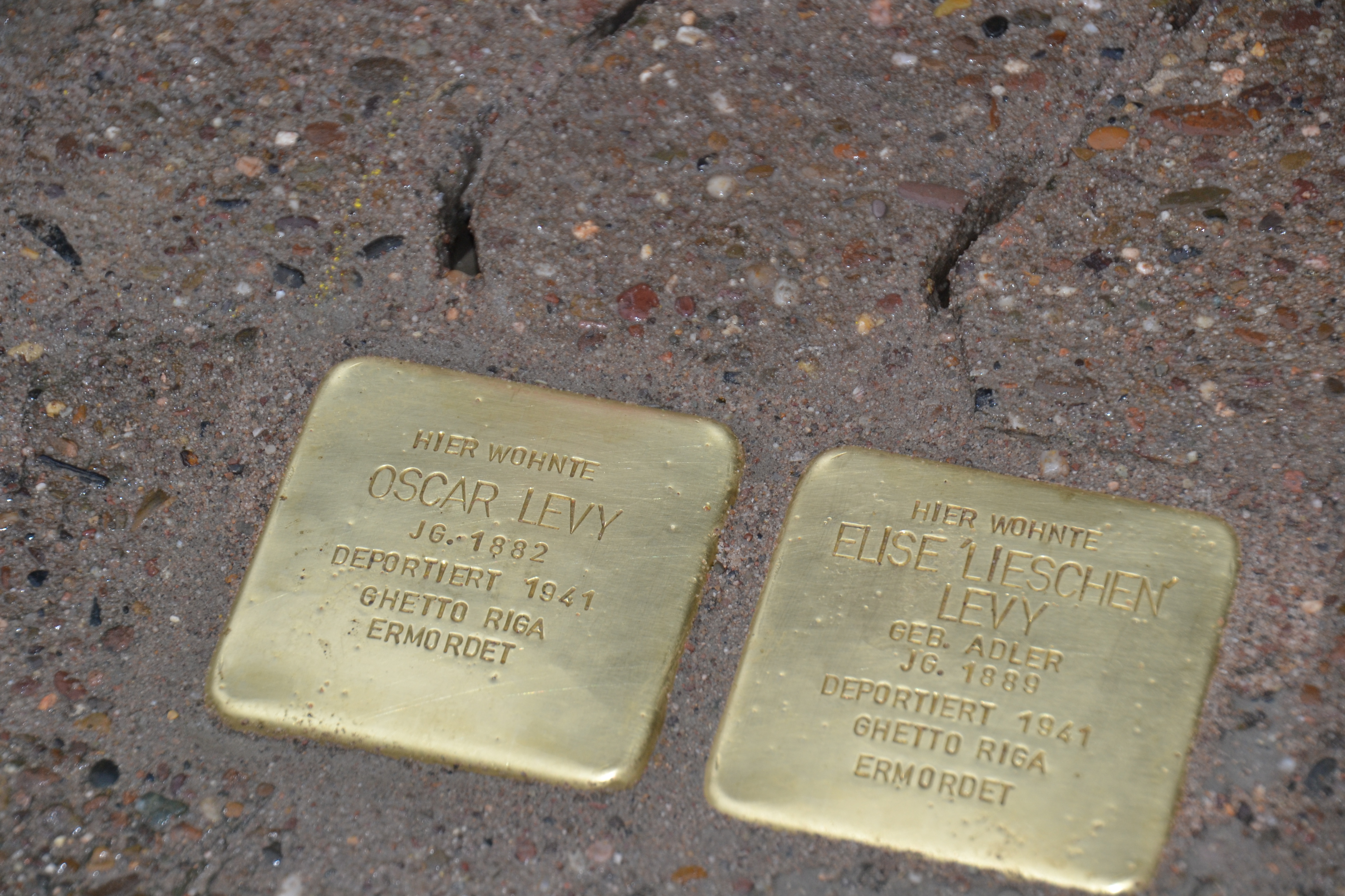 Coppenbrügge: Acht Stolpersteine zum Gedenken verlegt
