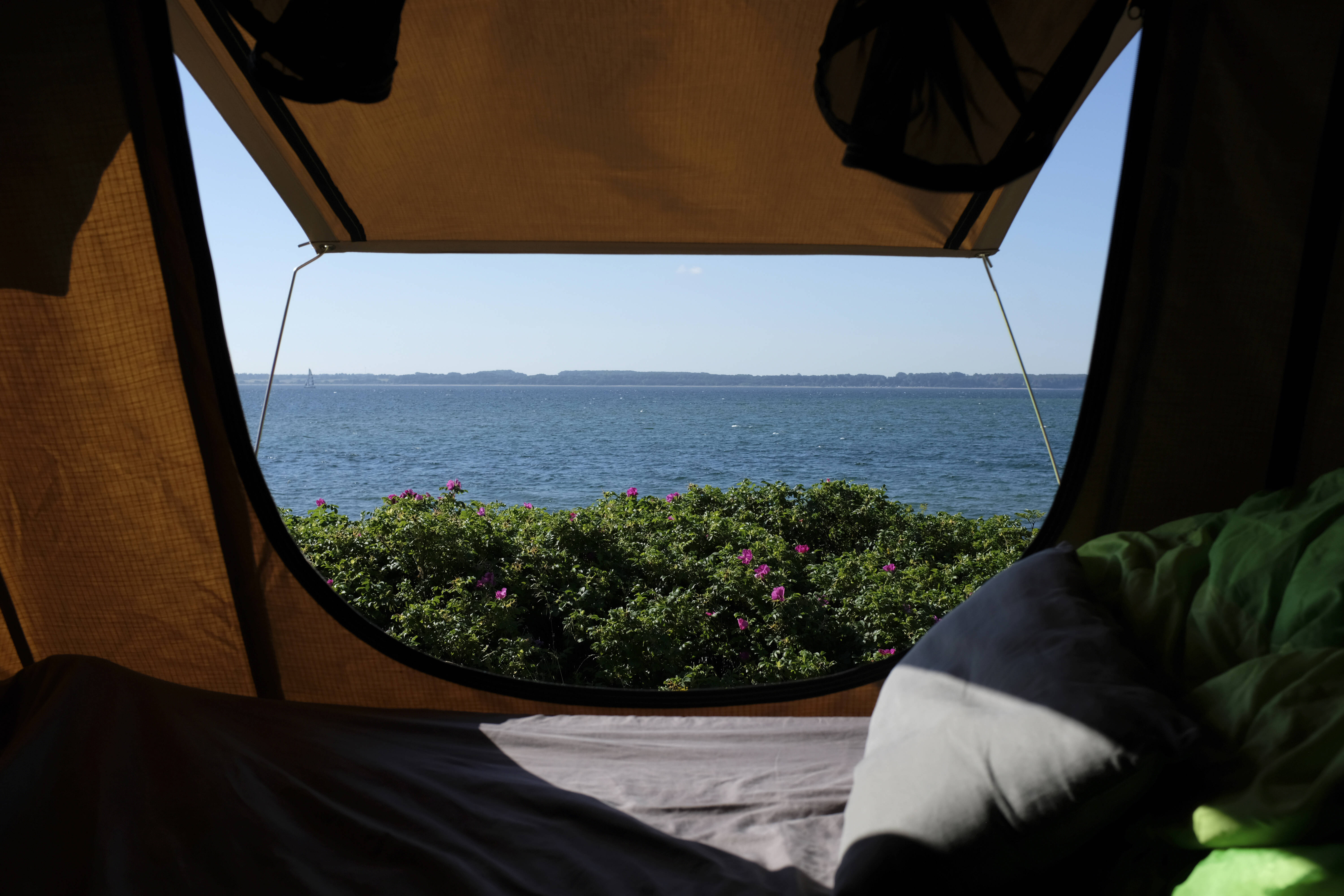 Luxus am Bodden: Wellness-Campingresort entsteht nahe der Ostsee
