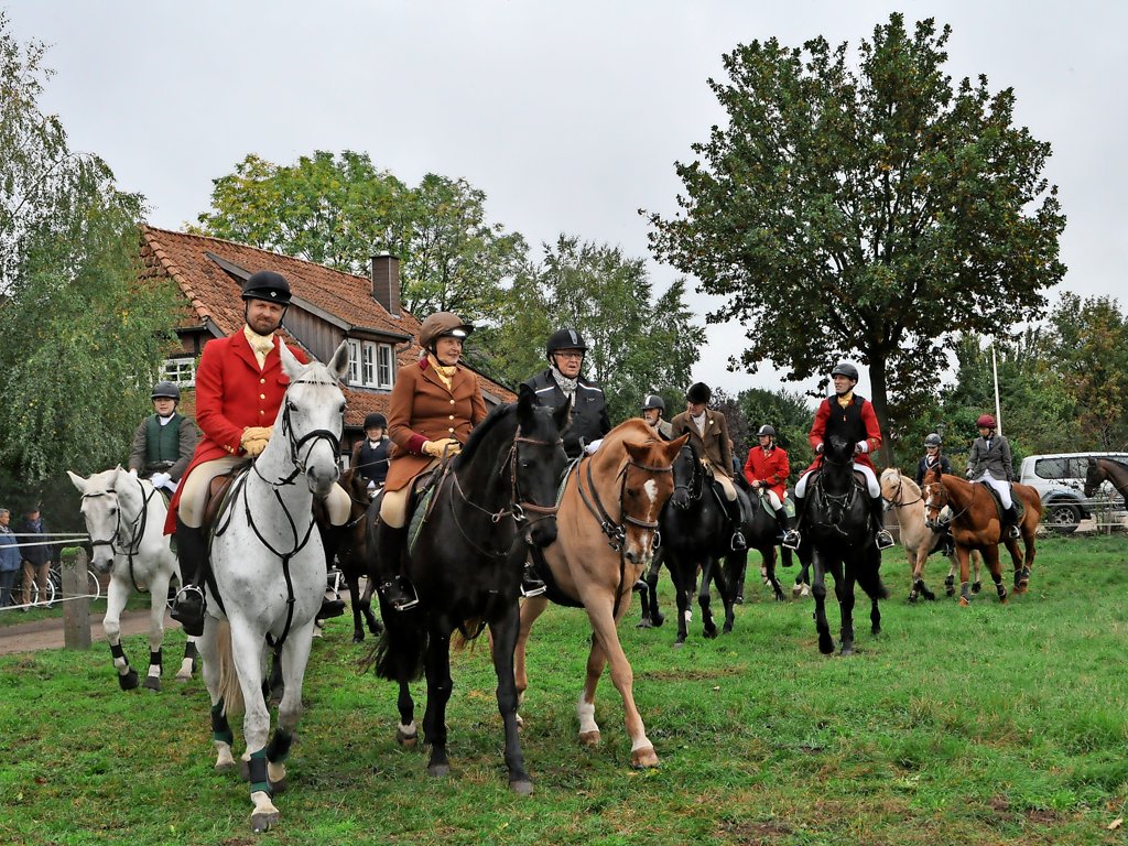 Wedemark: Master Camill Freiherr von Dungern begleitet mit der  Niedersachsenmeute die Hagd in Meitze