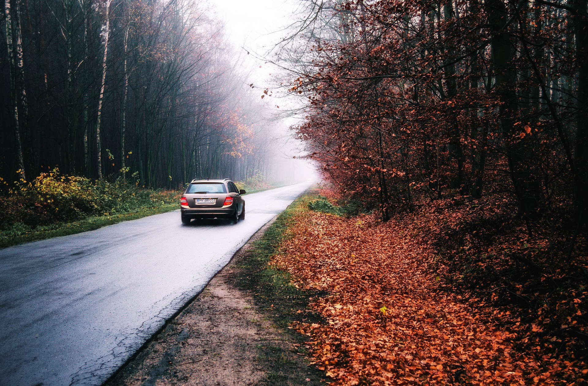 Auto im Herbst: 10 Tipps rund um Licht, Winterreifen