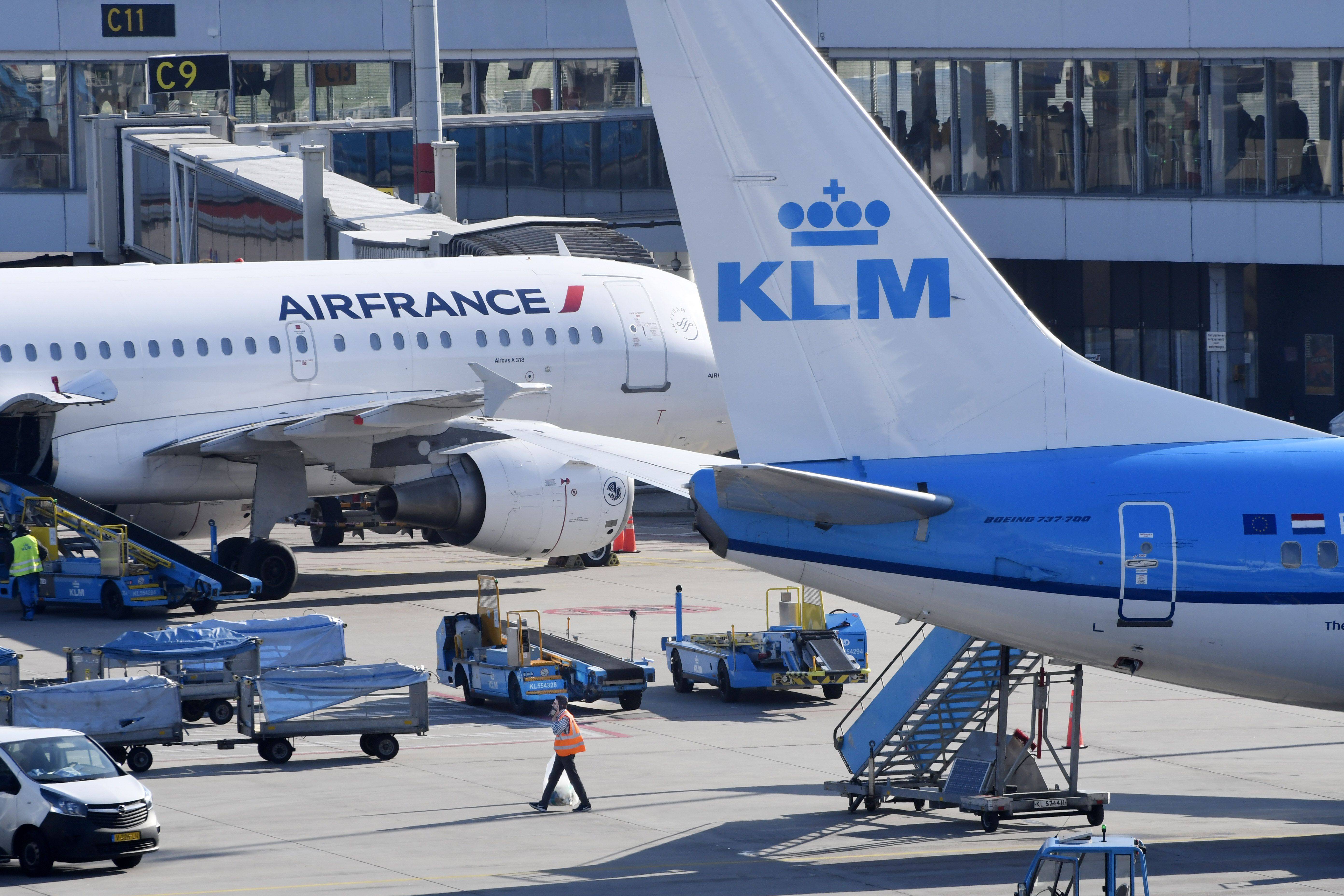 Hund stirbt auf Air-France-KLM-Flug Frachtraum – kritisiert