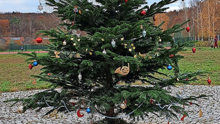 Potsdam: Jeder kann mitmachen: „Schmucker“ Weihnachtsbaum in Neu Fahrland
