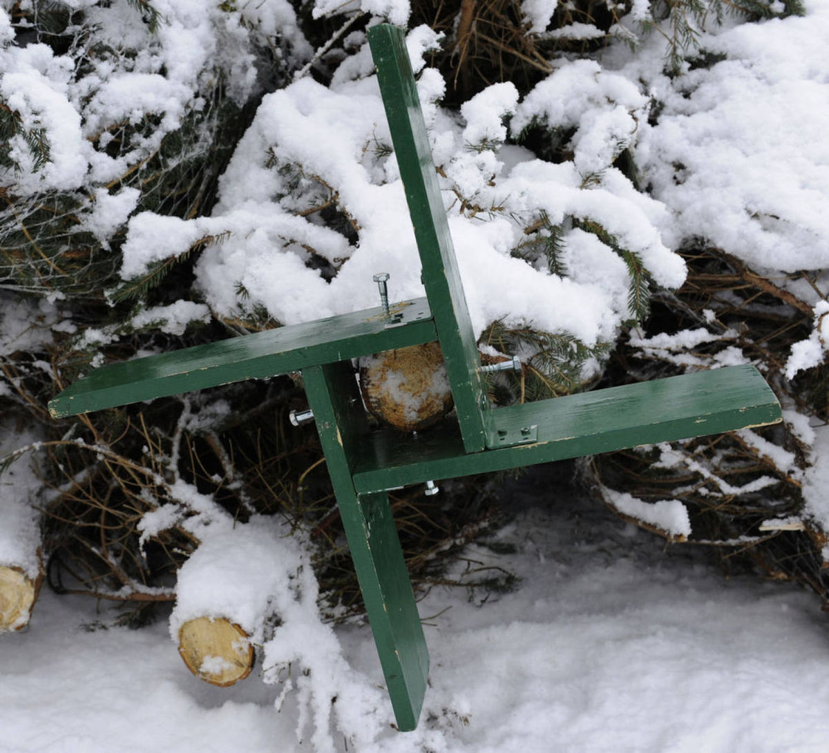 Wie der Tannenbaum zum Hingucker wird
