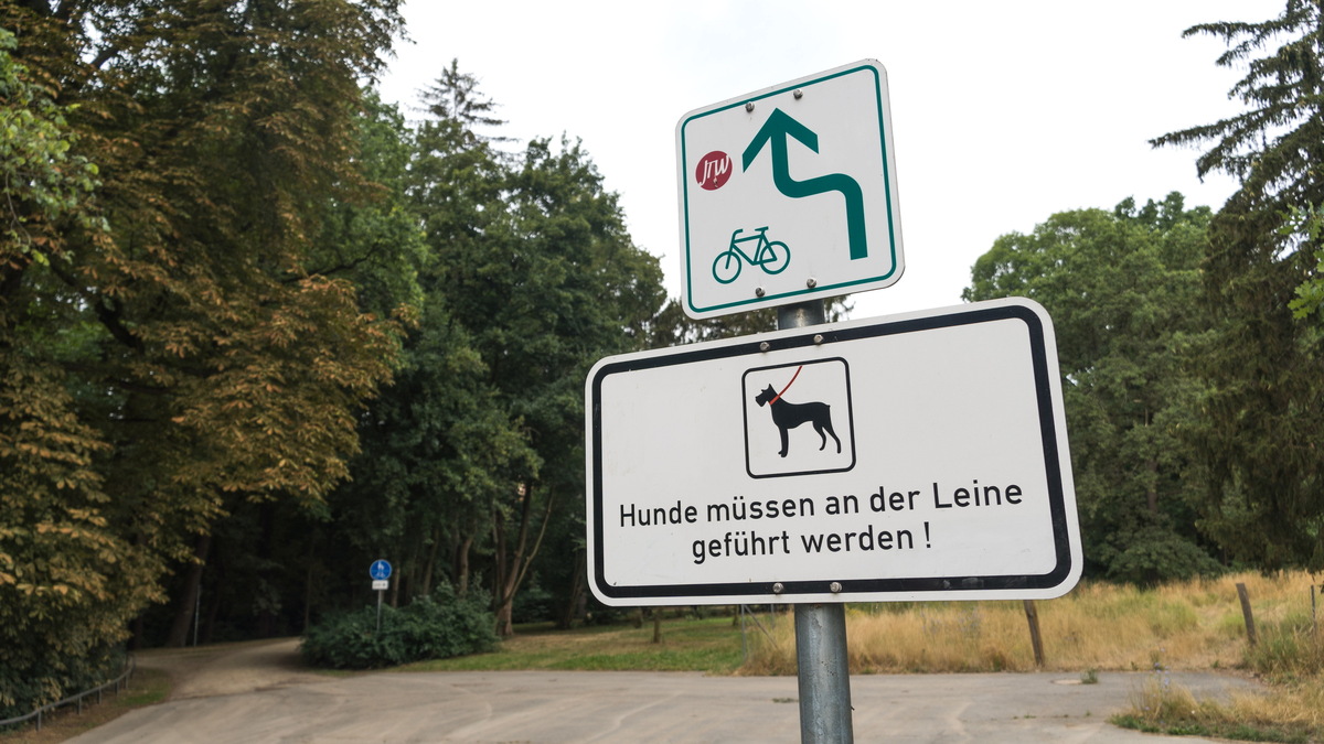 Zentrum der Hundehinterlassenschaft - Tegernheim