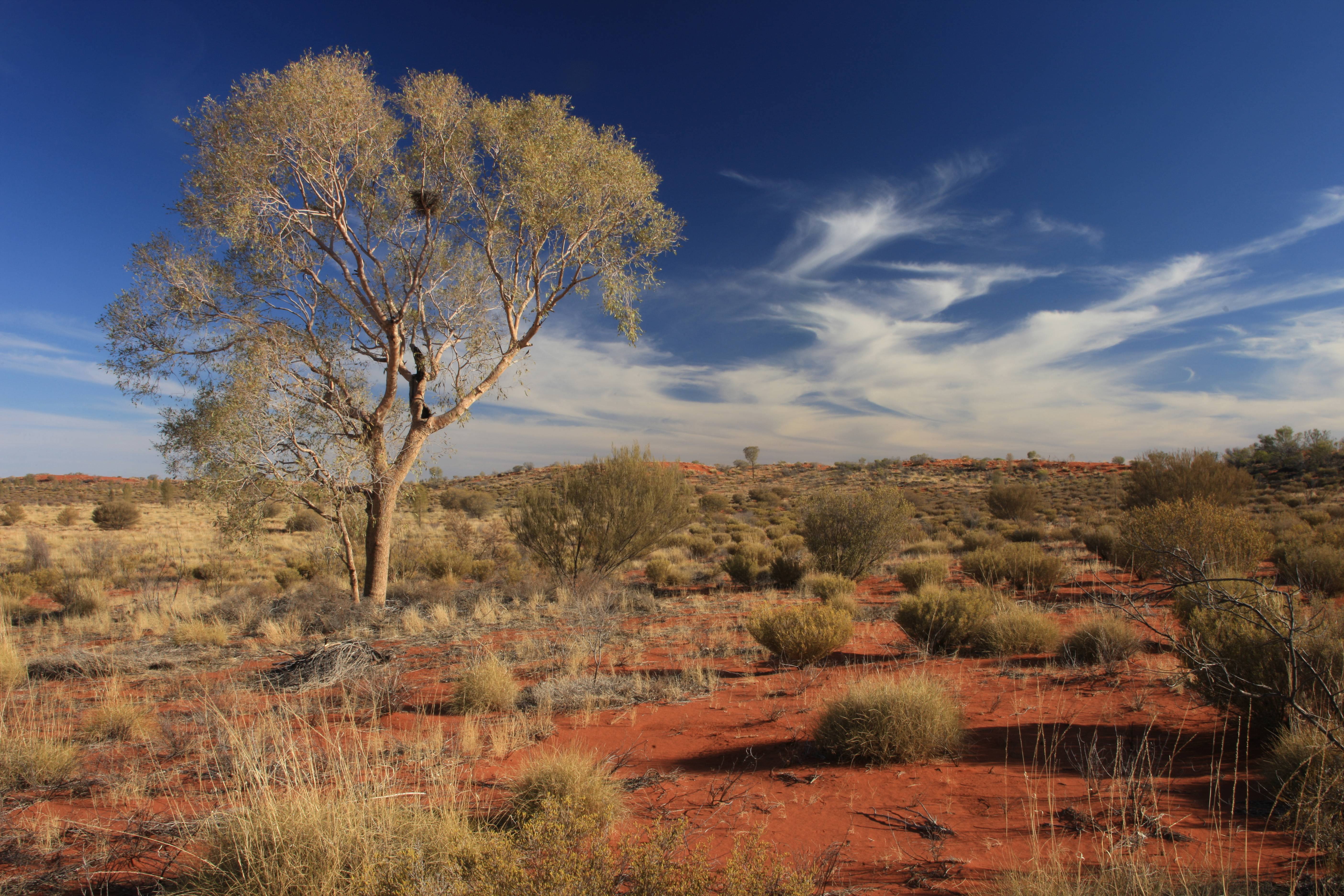 Paddy Moriarty: Australiens Outbackrätsel könnte gelöst werden