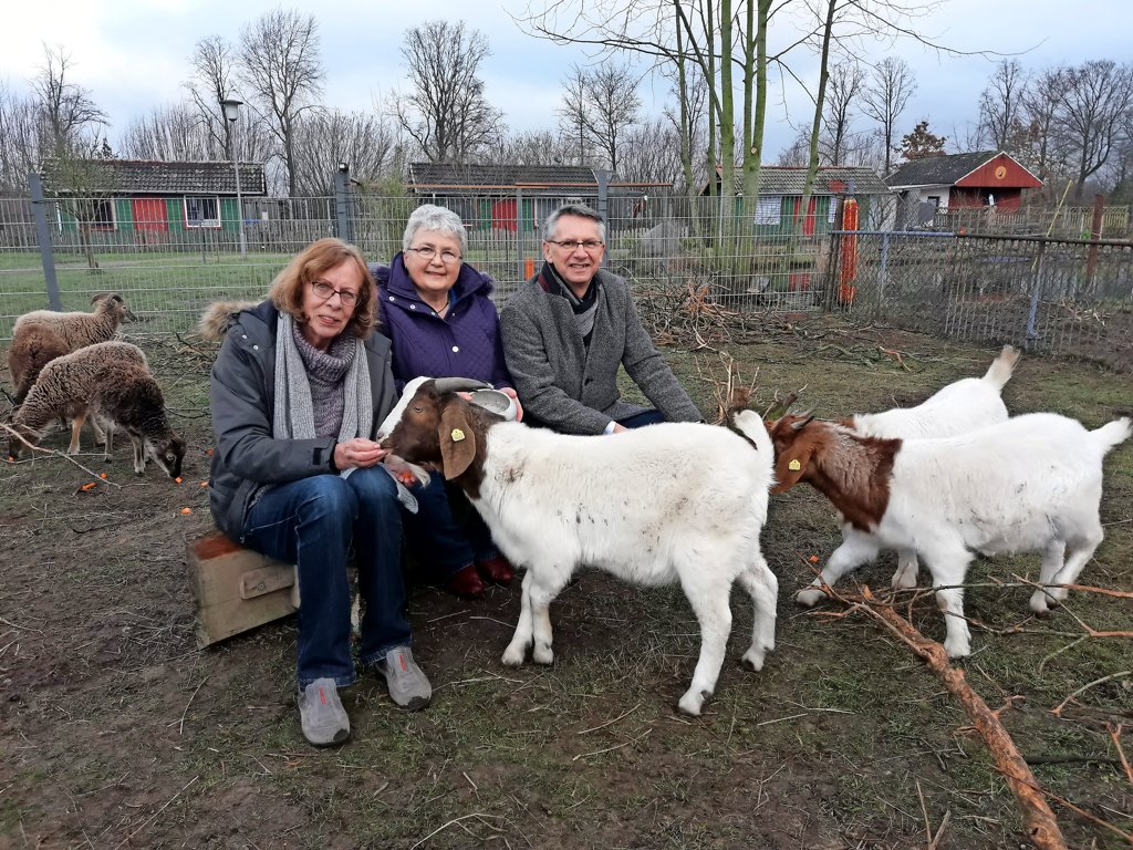 Gefl gelz chter wollen Kleine Arche Wahlstedt schaffen