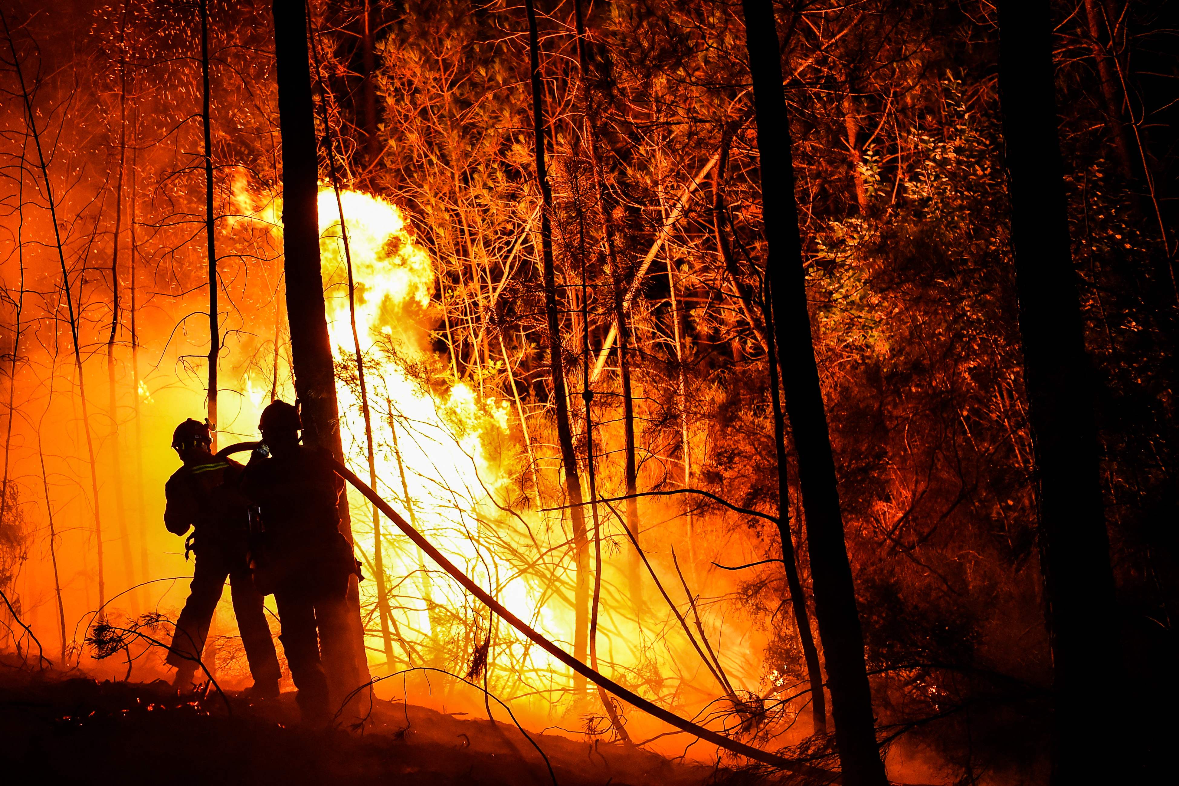 Dürre und Hitze in Portugal: Feuerwehr kämpft gegen Waldbrände