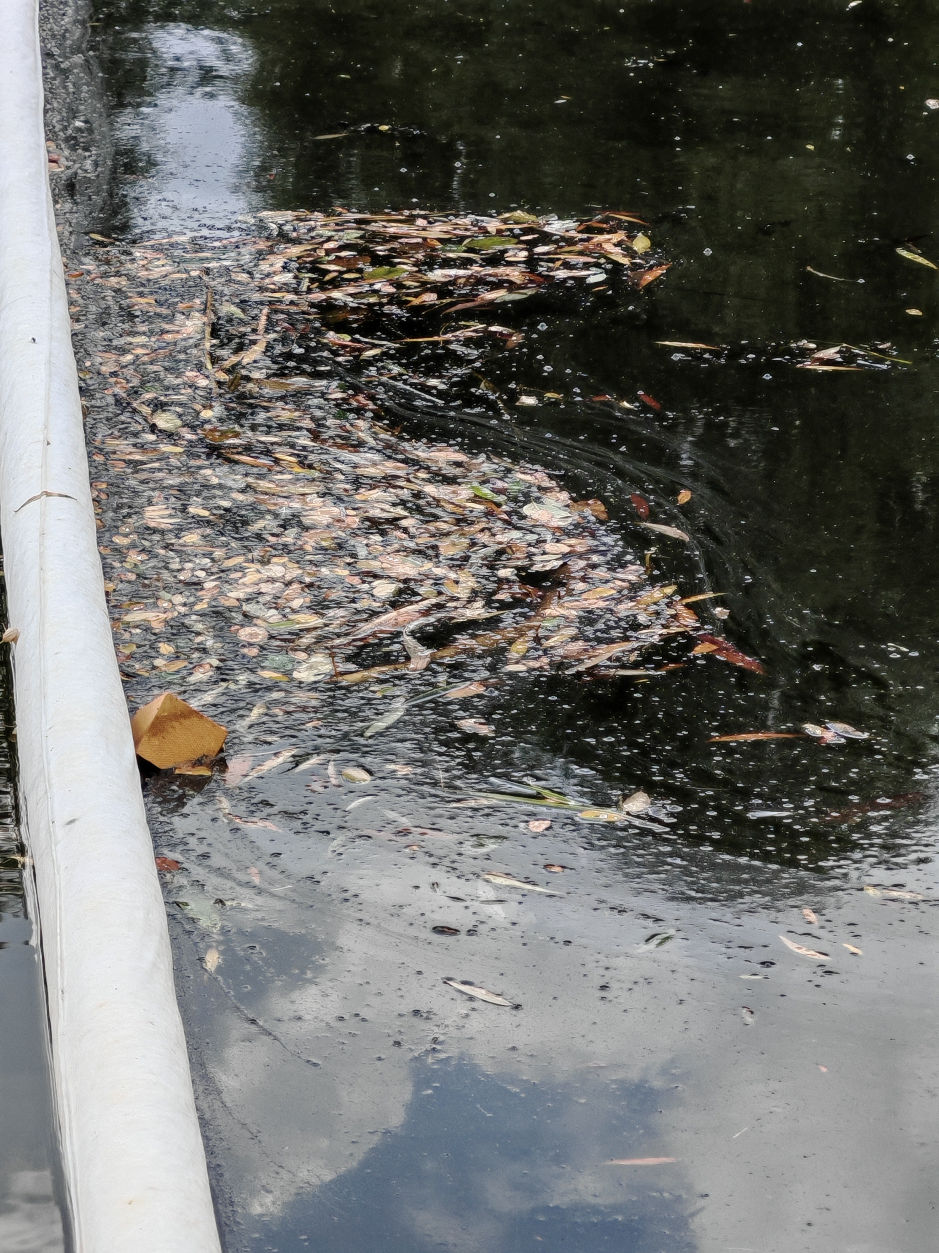 Oyoq fetish porno filmlar Ayollar tasodifan ozlarini fosh qilishadi