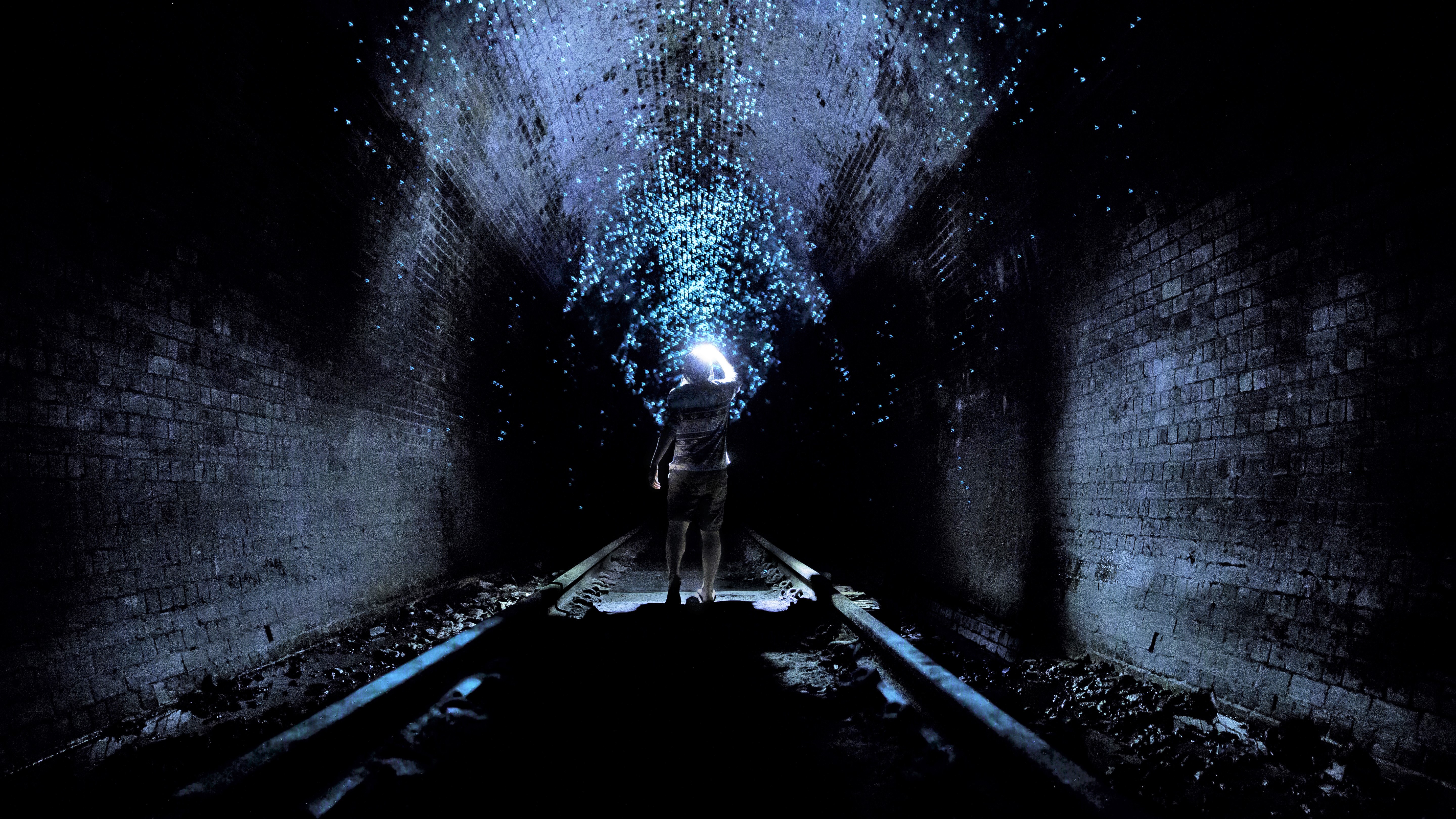 In diesem verlassenen Bahntunnel leben Tausende Glühwürmchen