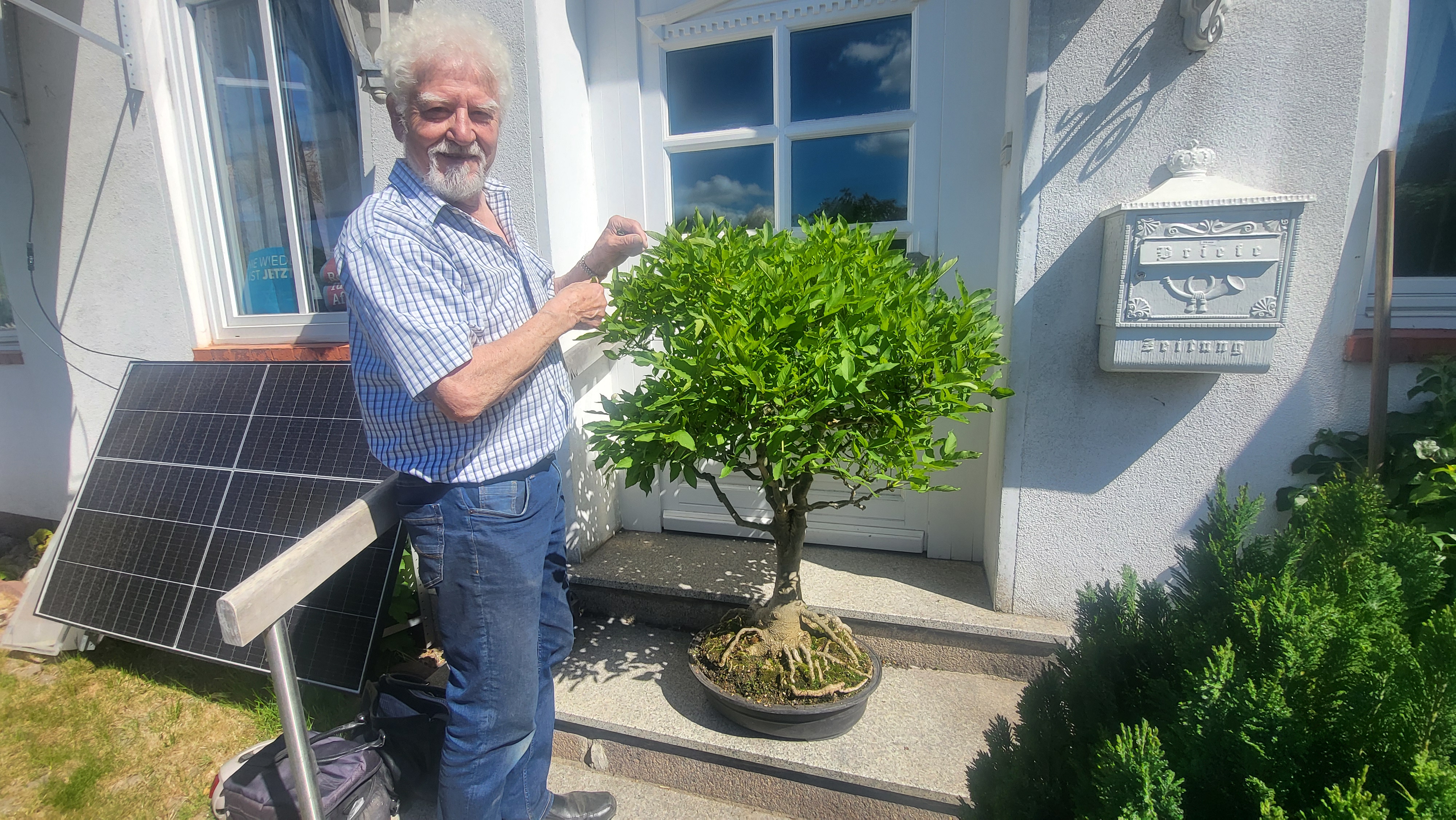 Bonsai statt Fernseher: Wie ein Lbecker Rentner seine grne Oase in  Moislingschuf