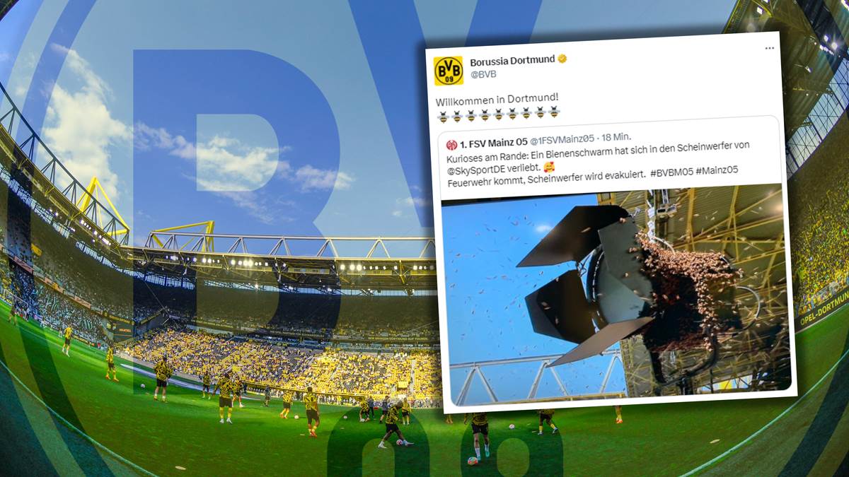 Kurz vor Anpfiff in Dortmund Feuerwehr-Einsatz im BVB-Stadion wegen Bienenschwarm