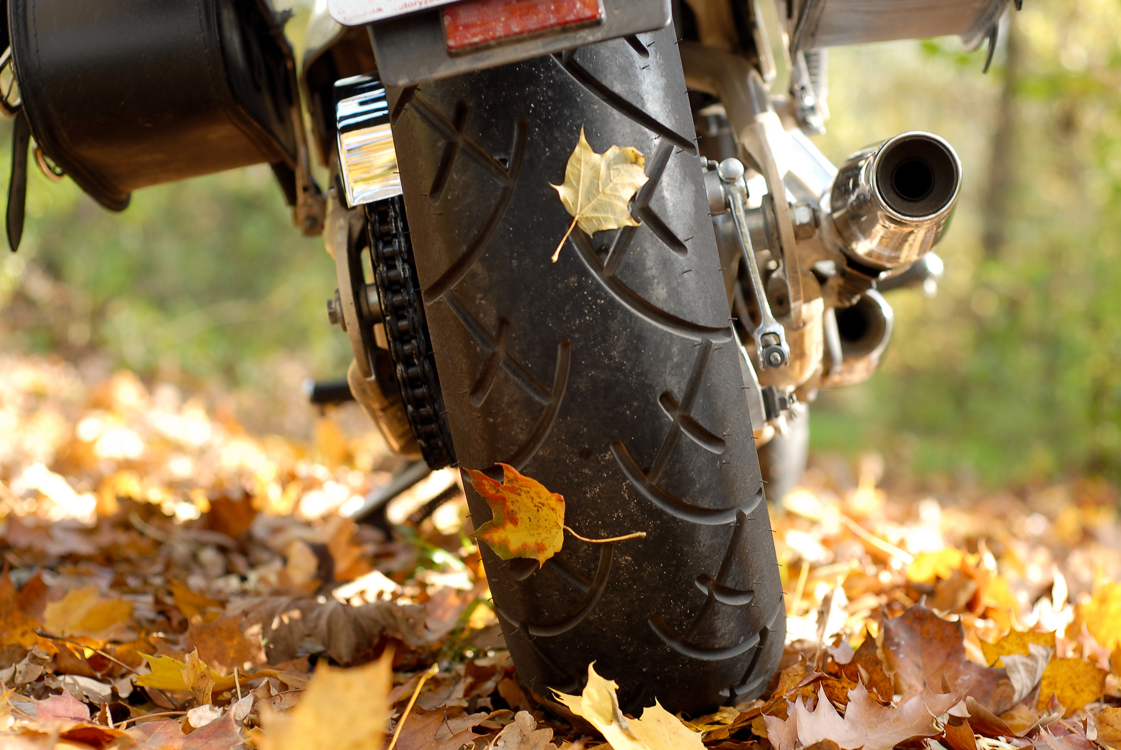 Motorrad im Herbst: Sicher durch Laub und Nässe fahren - so geht's