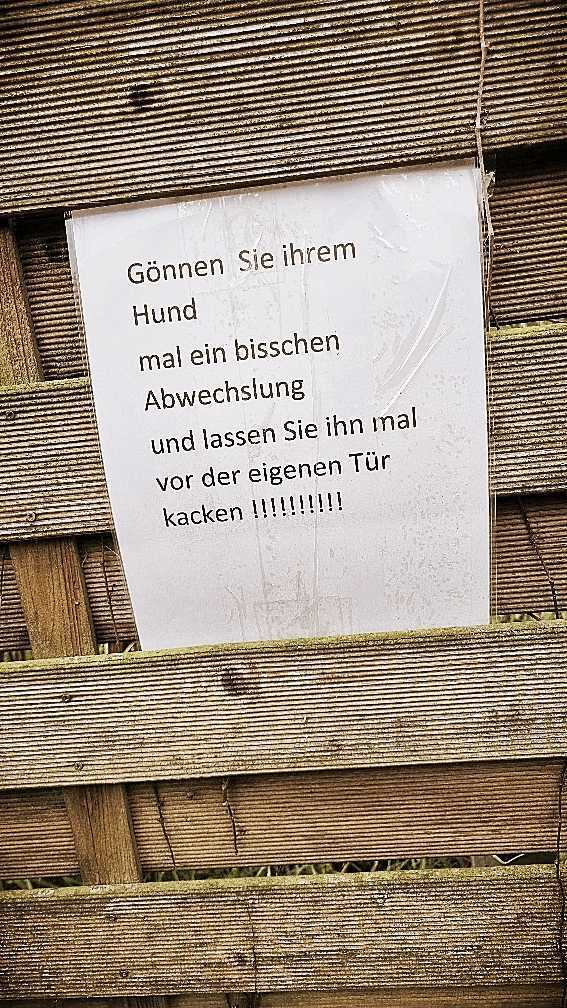 organischer dnger fr balkonpflanzen Pokon Balkon- und Terrassendnger  500 ml