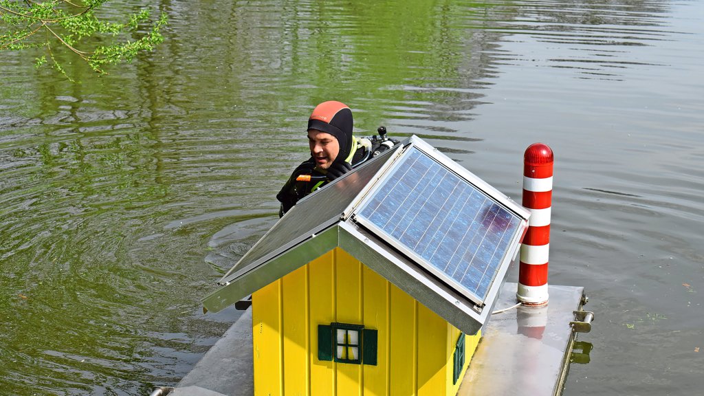 Besh yoshli bolalar bilan porno