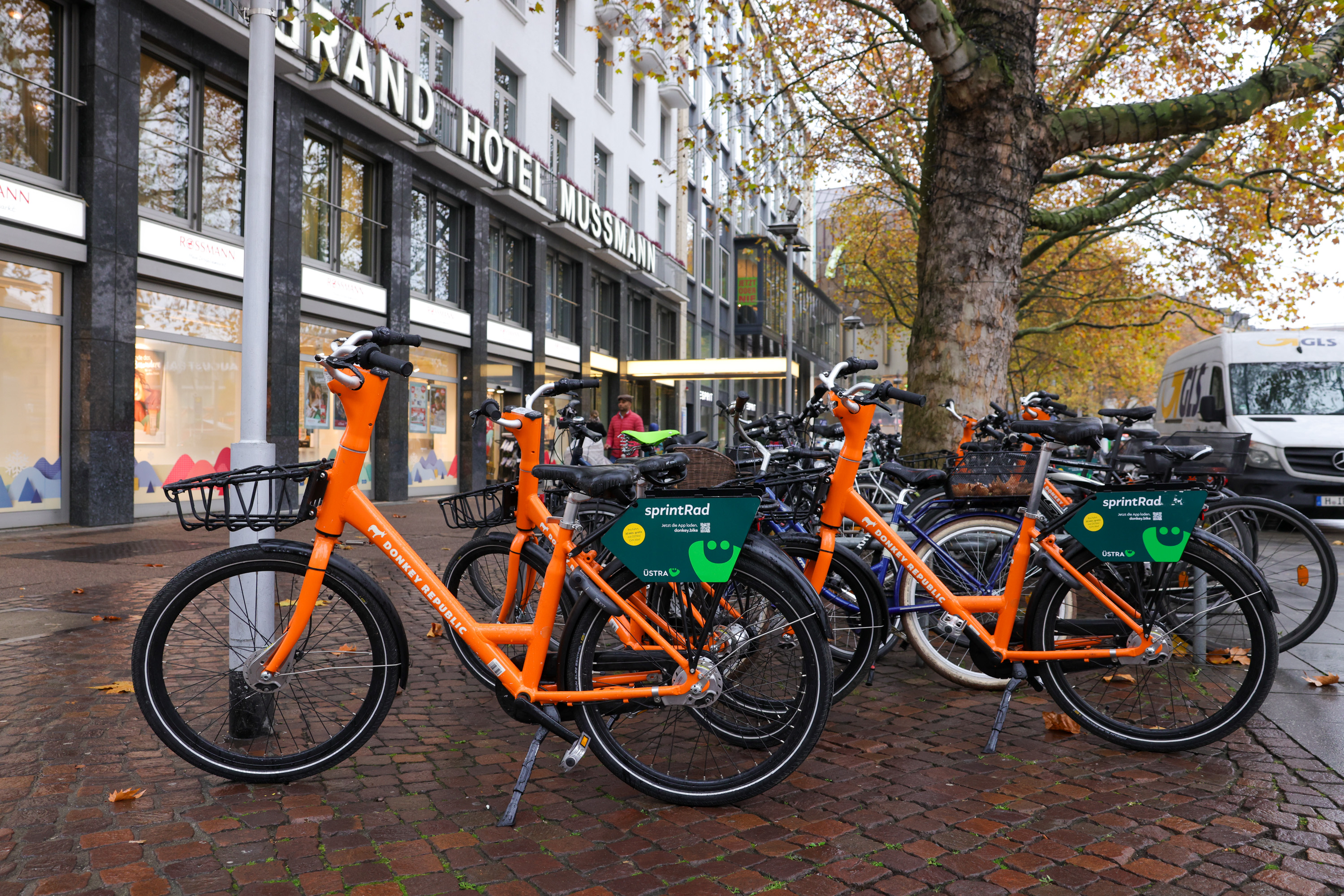 fahrradanhänger taxxi bewertung Load 45 Lastenanhänger mit Federung für Fahrrad – Stabiler bis 45 kg – gefedert, klappbar, wetterfest, Reflektoren, Kupplung, Thai Coconut Meat Truly Category:Jugendfahrrad_Starr  HiTen Color:Flashgrey 'n' metal