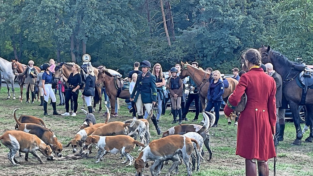 Burgwedel: Schleppjagd in Thnse begeistert Reiter, Pferde und Hunde