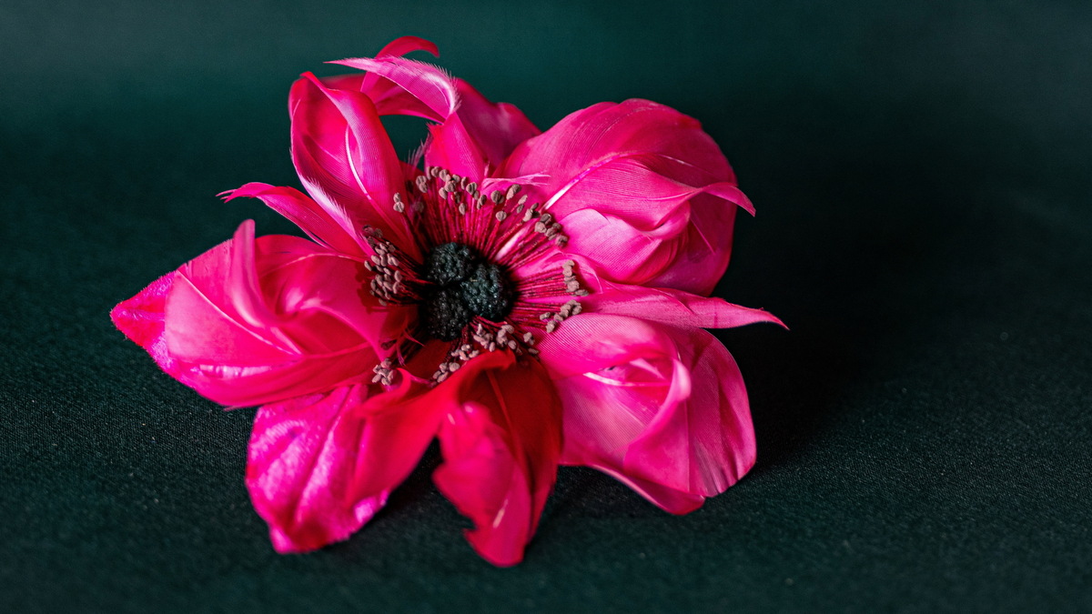 Von der Queen bis Titanic: Wo die Seidenblumen der Stars schlafen