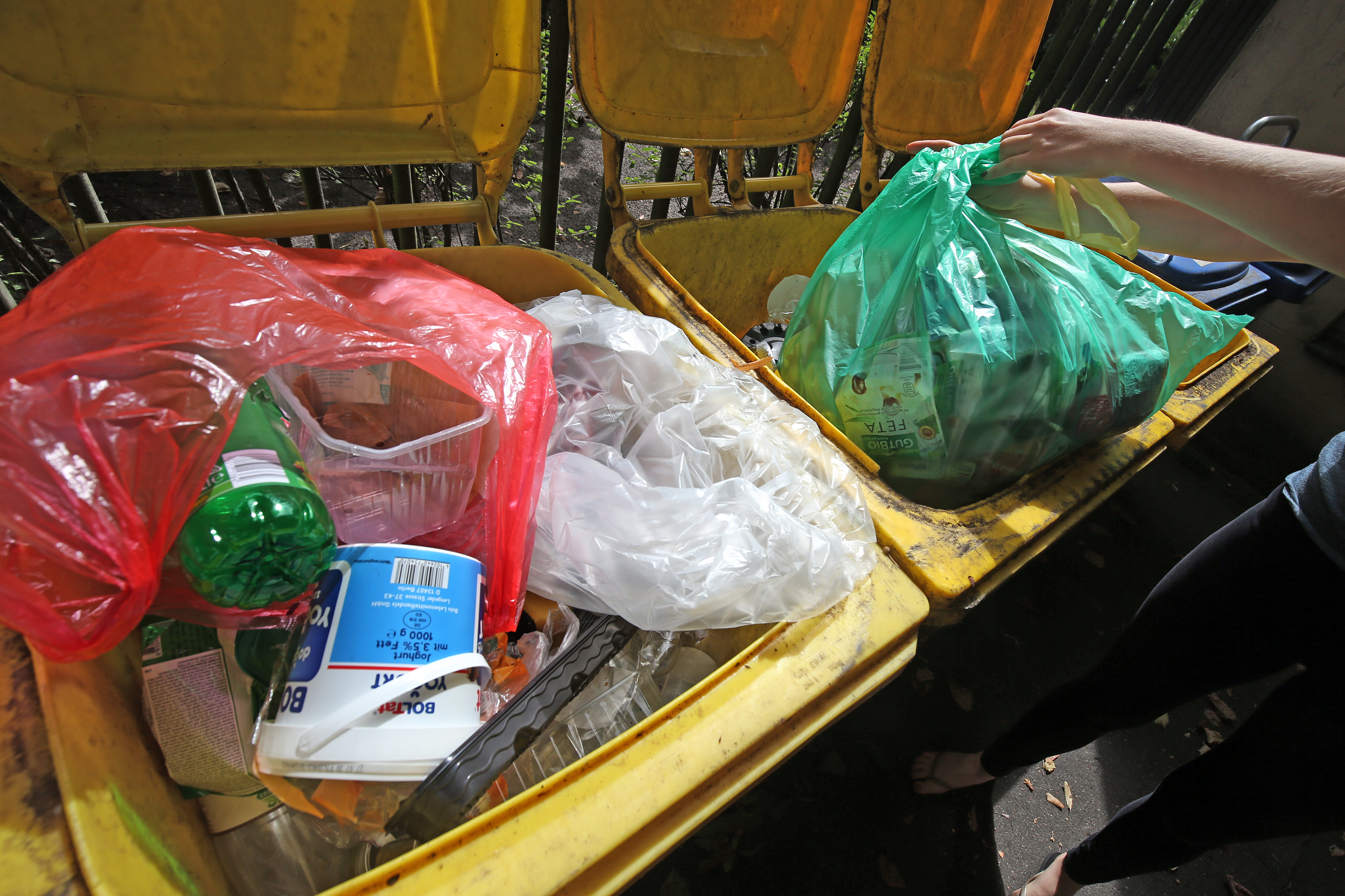 Recycling: Müll richtig trennen und entsorgen - Was kommt in welche  Mülltonne?
