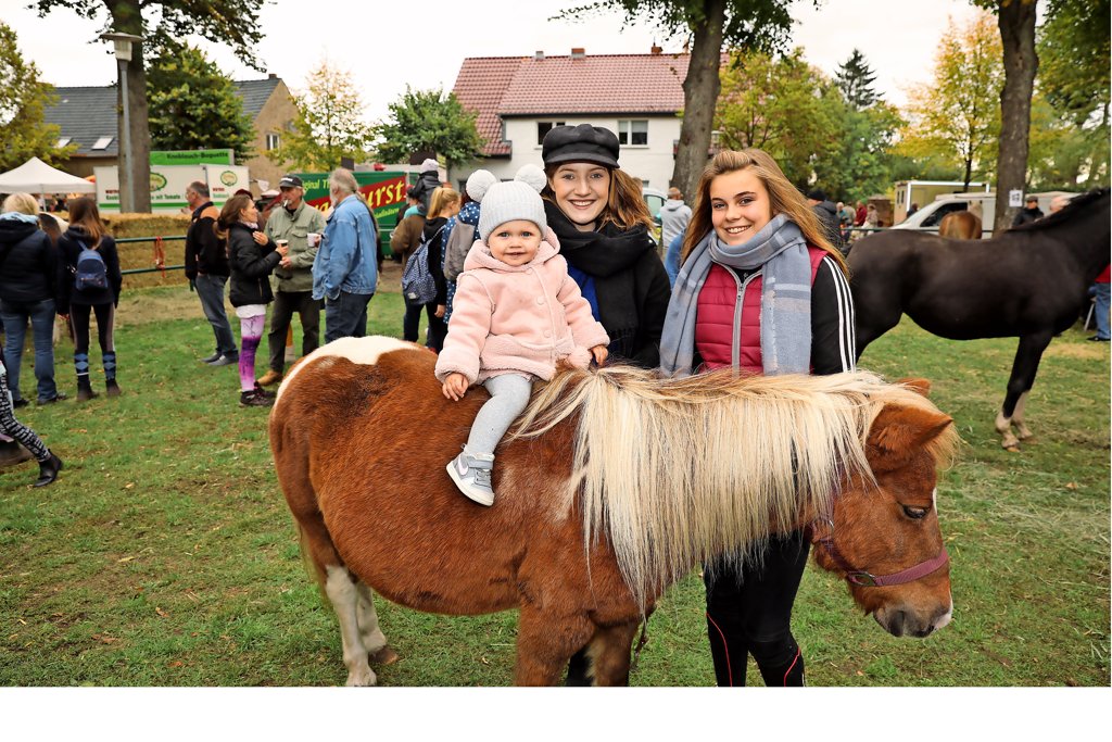 ponyfarm gutengermendorf