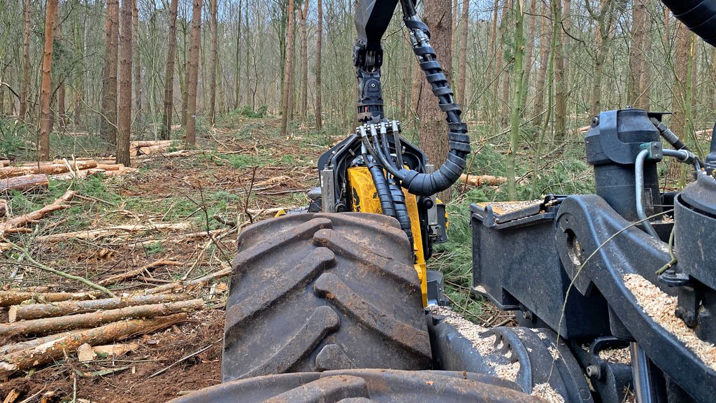 Wo kann man viagra kaufen schweiz