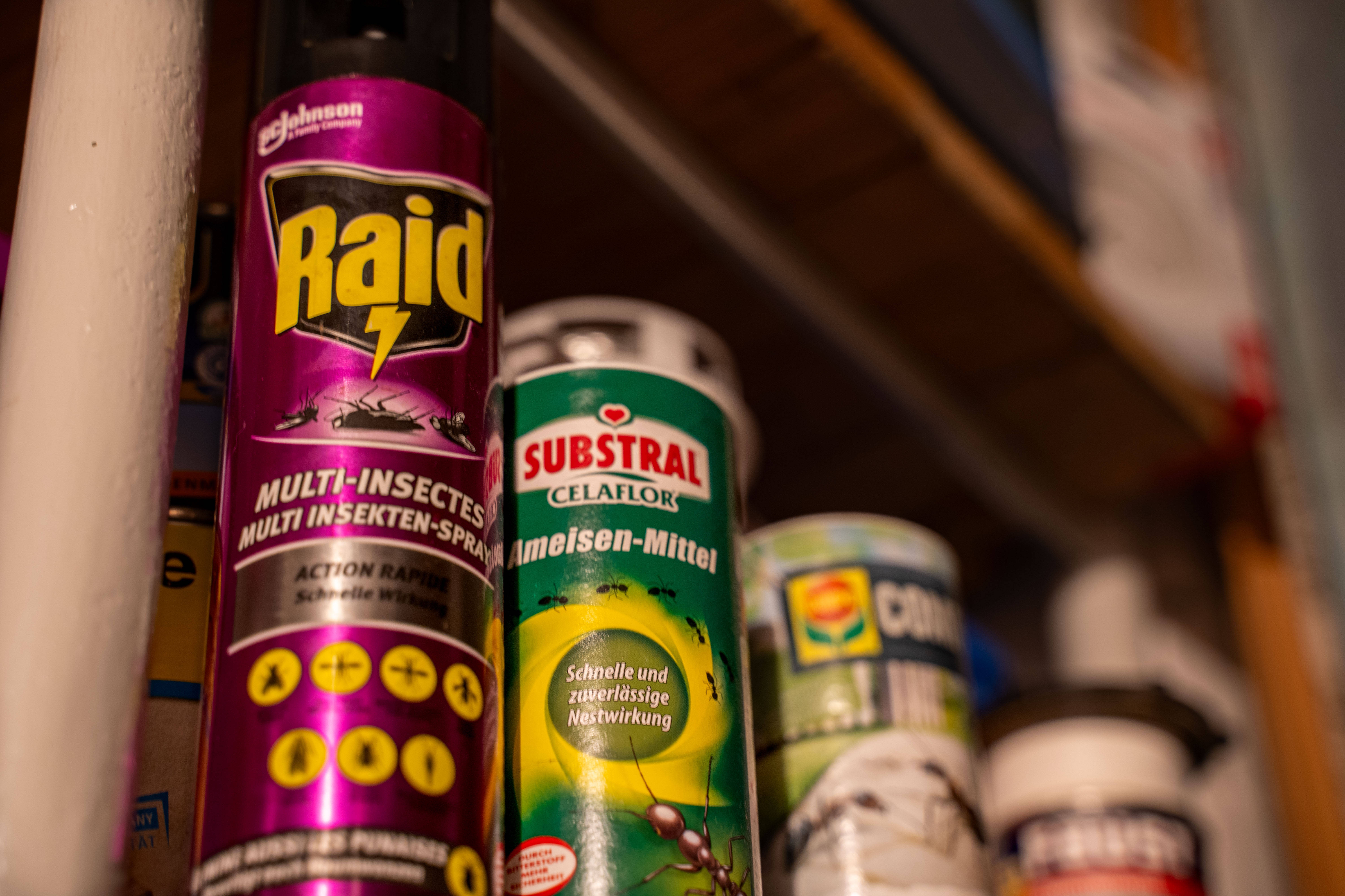 Neue EU-Verordnung: Ameisenköder und Insektenspray nicht mehr bei Rossmann und DM